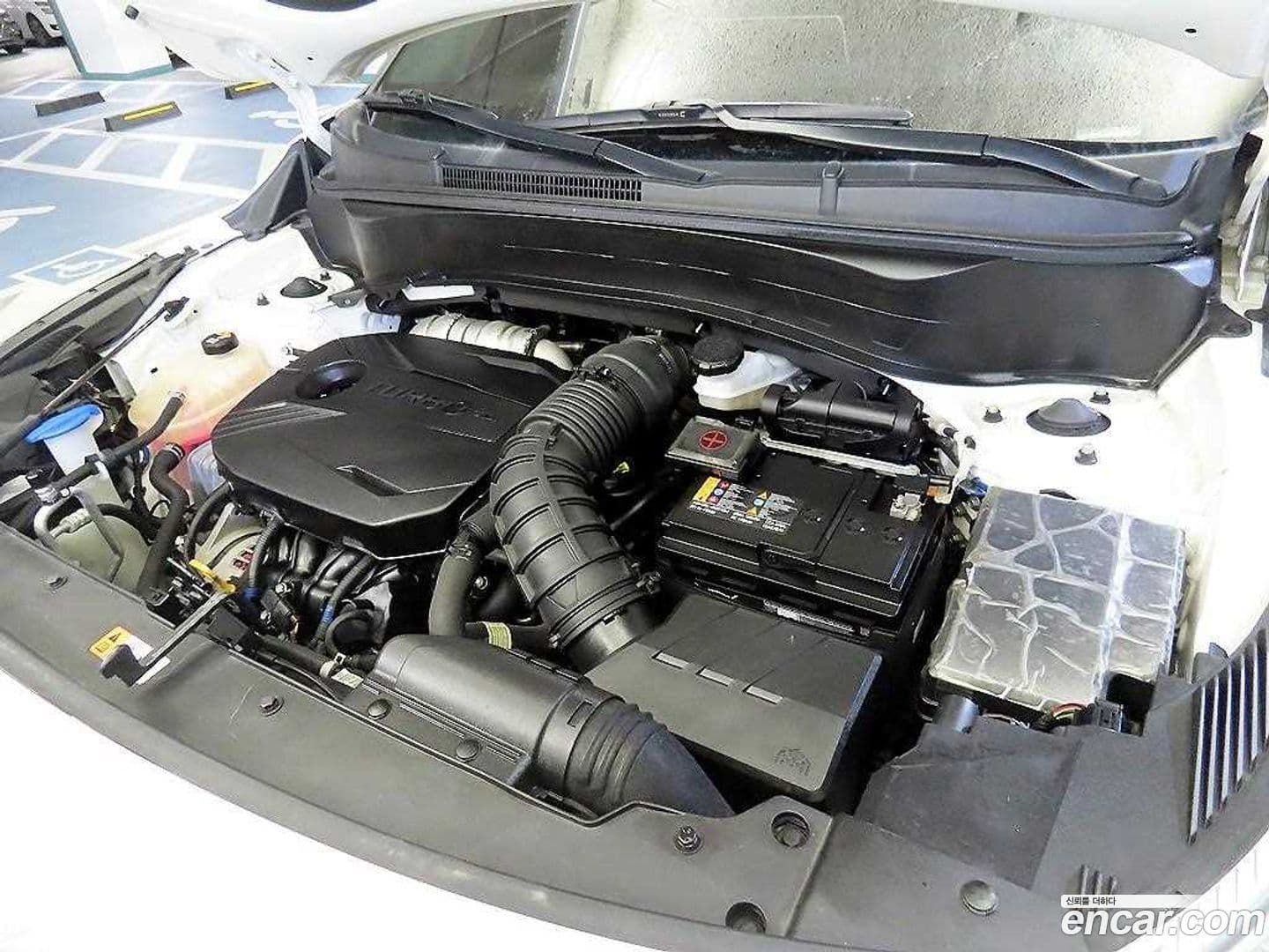 Main__Slider__Photo:Sorento Kia 2021.11-18