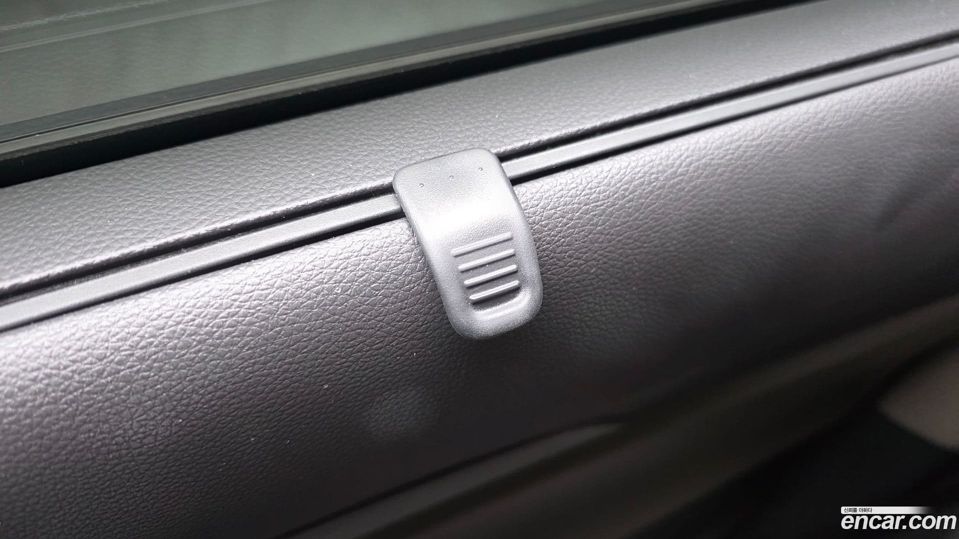 Main__Slider__Photo:Canival Kia 2024.10-17