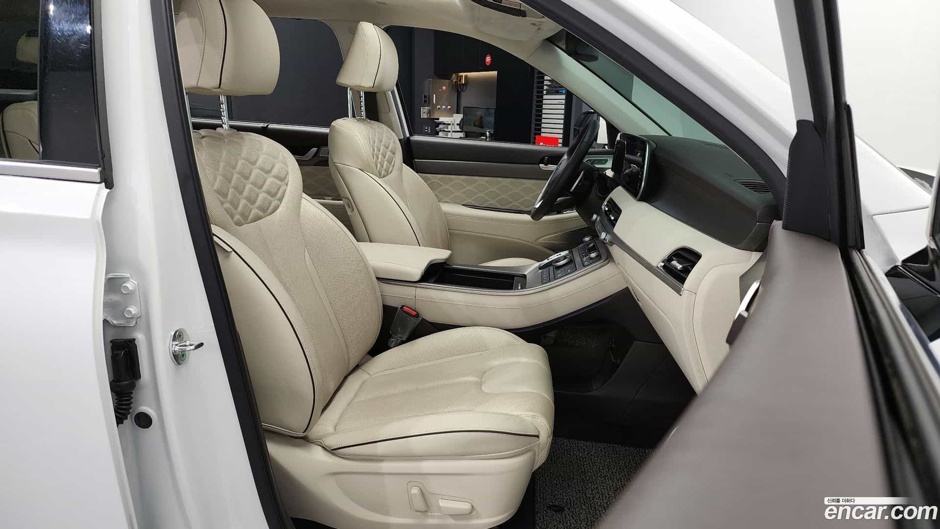 Palisade Hyundai 2020.10-OPTION-015