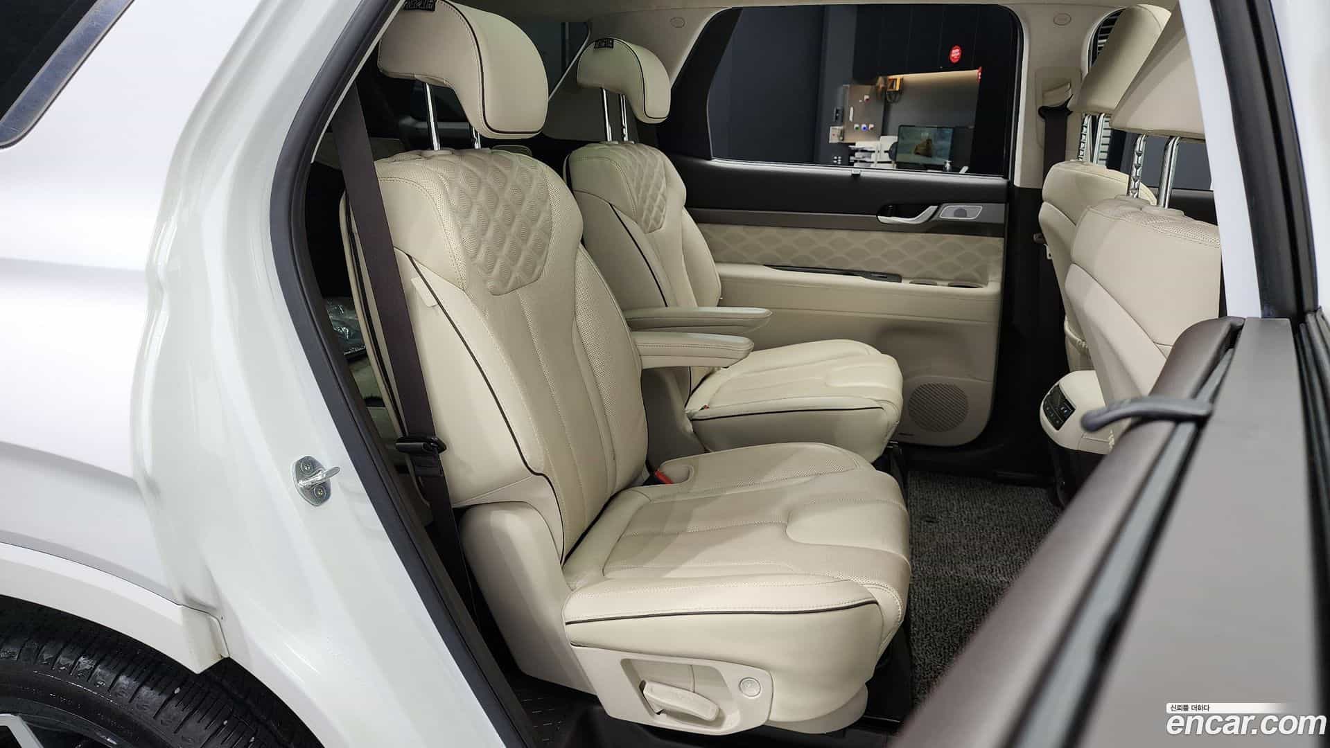 Palisade Hyundai 2020.10-OPTION-016