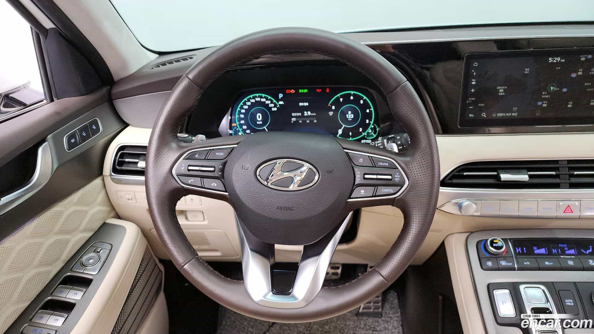 Palisade Hyundai 2020.10-OPTION-017
