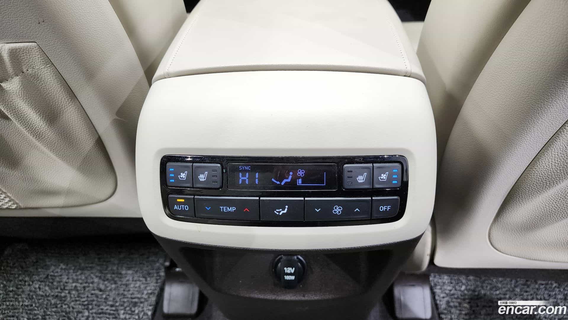 Palisade Hyundai 2020.10-OPTION-021