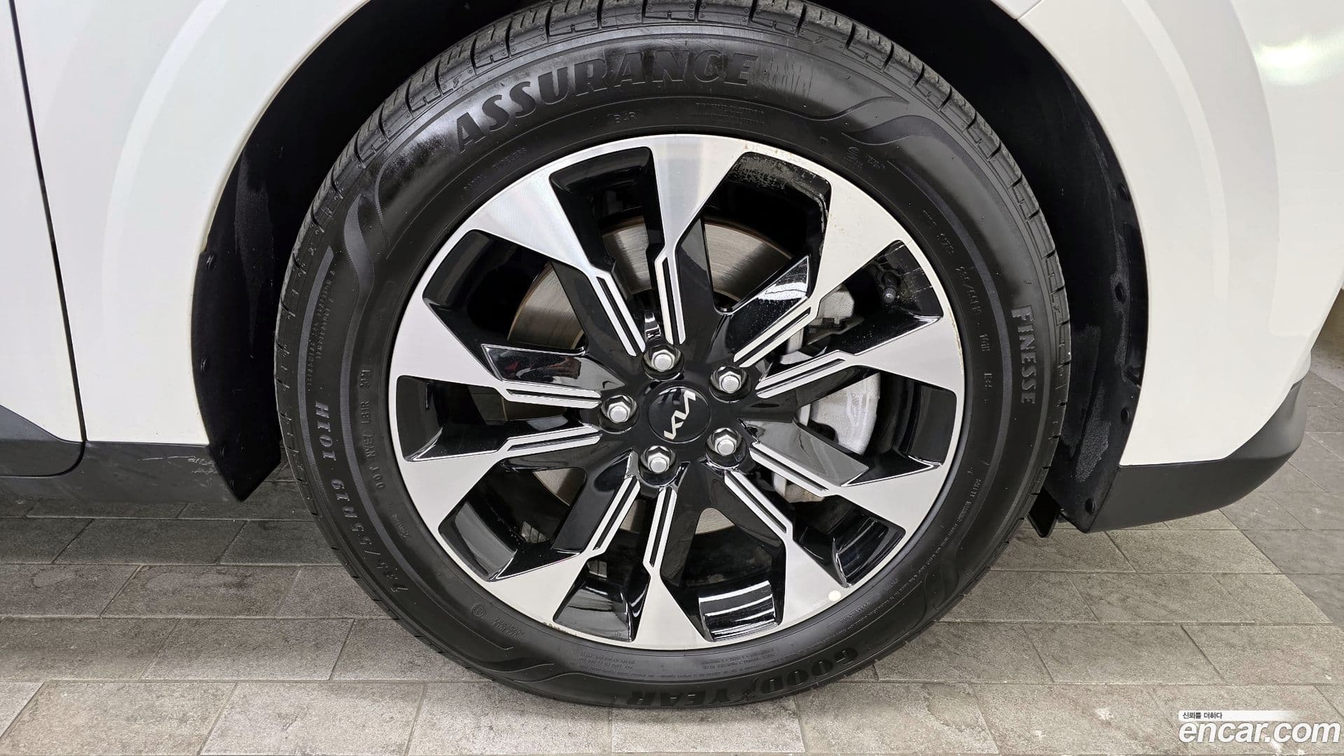 Main__Slider__Photo:Canival Kia 2021.8-4