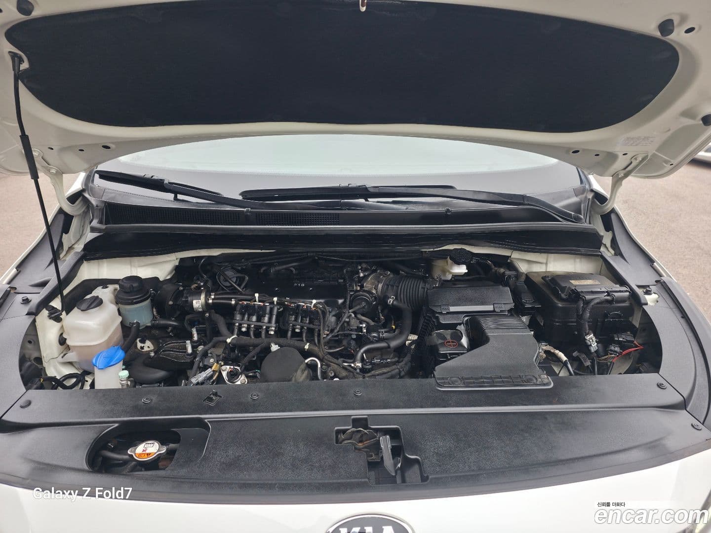 Main__Slider__Photo:Canival Kia 2020.6-7