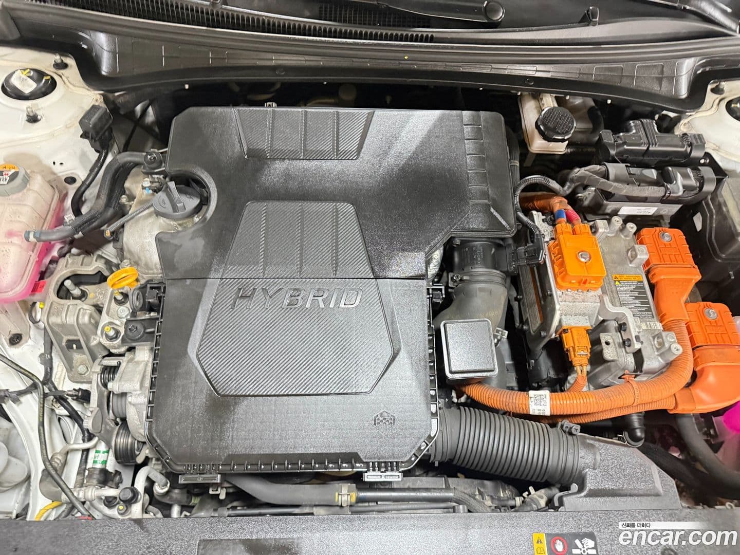 Main__Slider__Photo:AVANTE Hyundai 2022.3-18