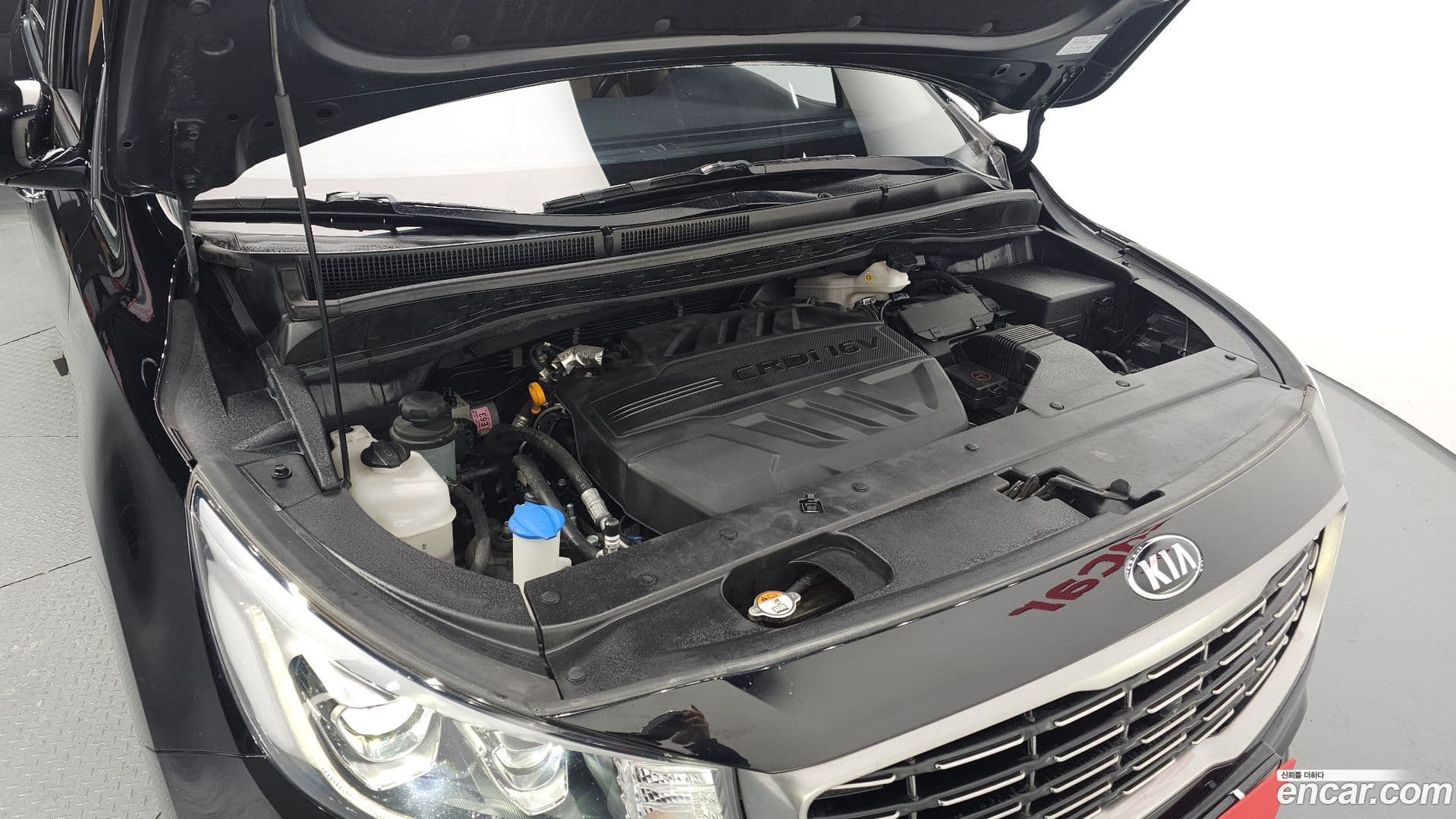 Main__Slider__Photo:Canival Kia 2019.10-5