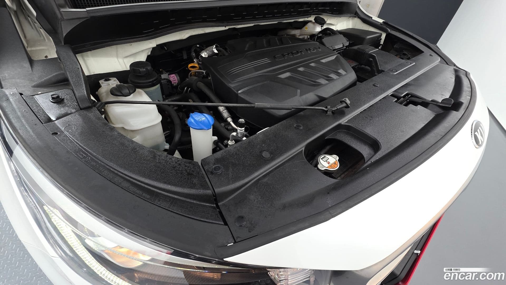 Main__Slider__Photo:Canival Kia 2018.6-5