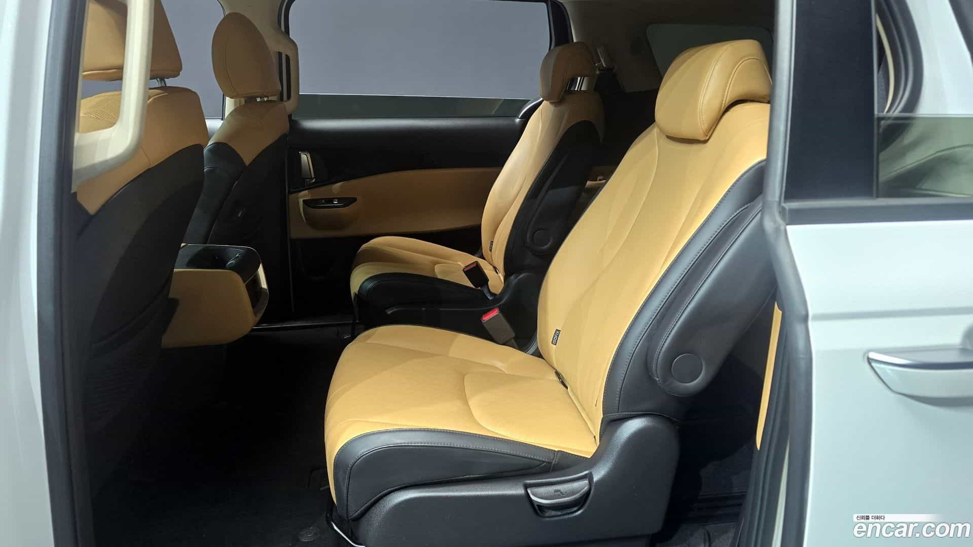 Canival Kia 2022.11-OPTION-016