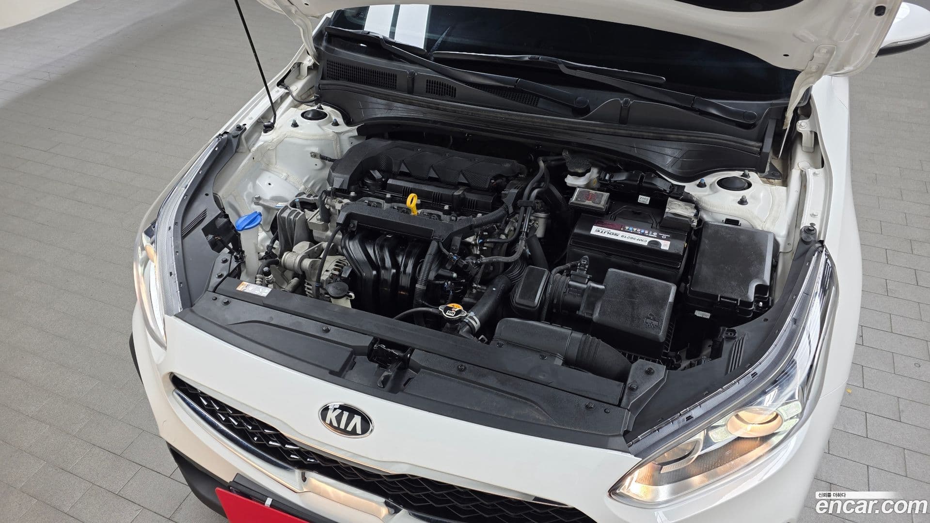 Main__Slider__Photo:K3 Kia 2021.1-5