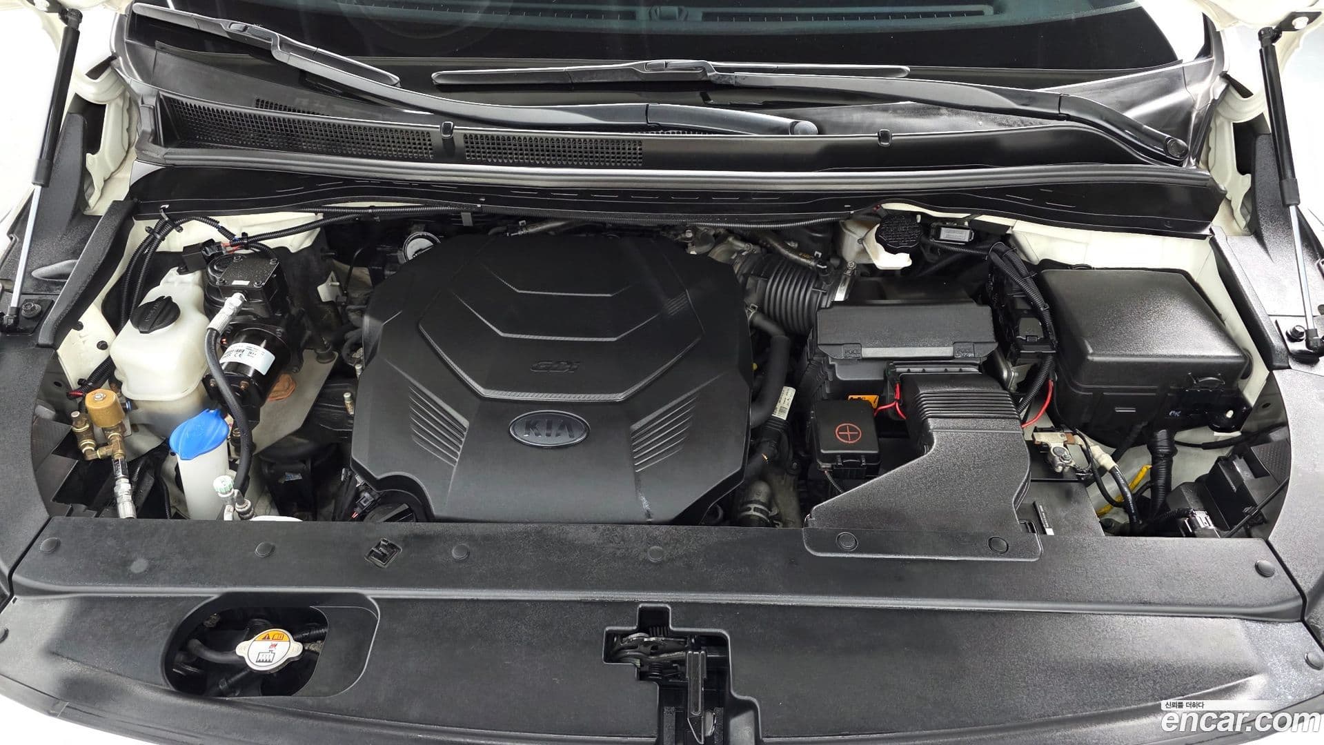 Main__Slider__Photo:Canival Kia 2019.1-5