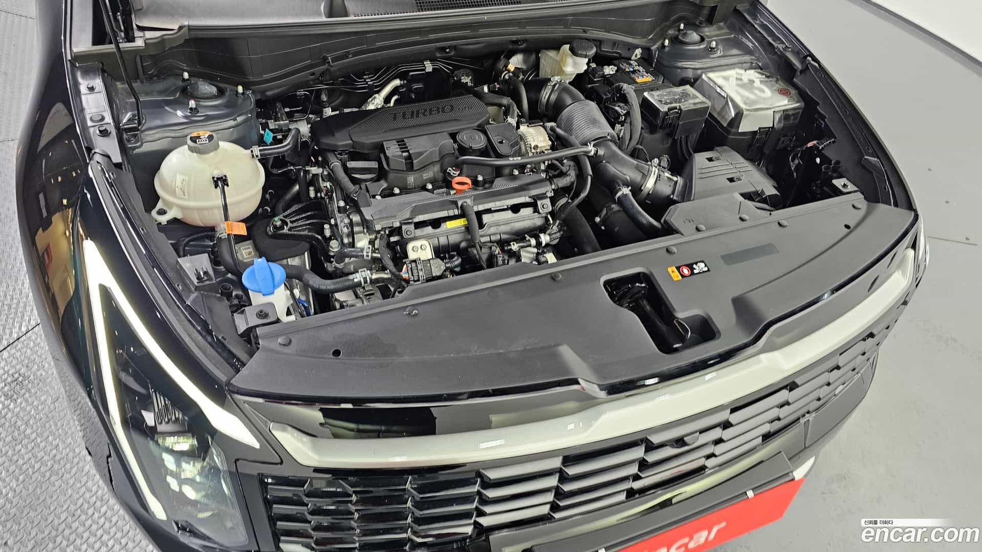 Sportage Kia 2024.11-OUTER-006