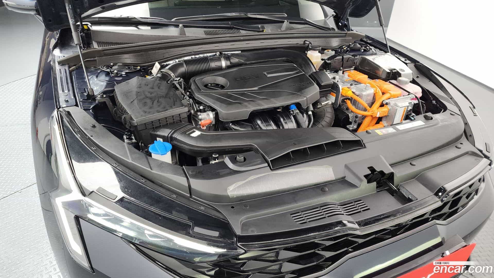 K5 Kia 2024.4-OUTER-006