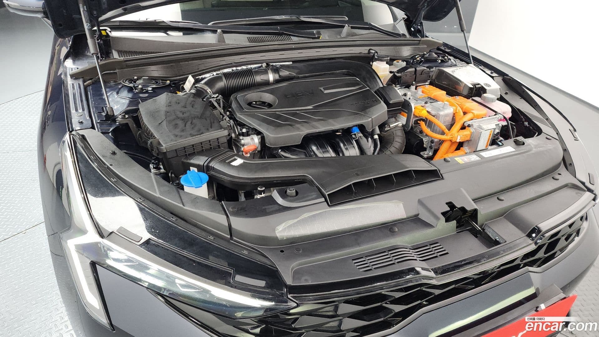 Main__Slider__Photo:K5 Kia 2024.4-5