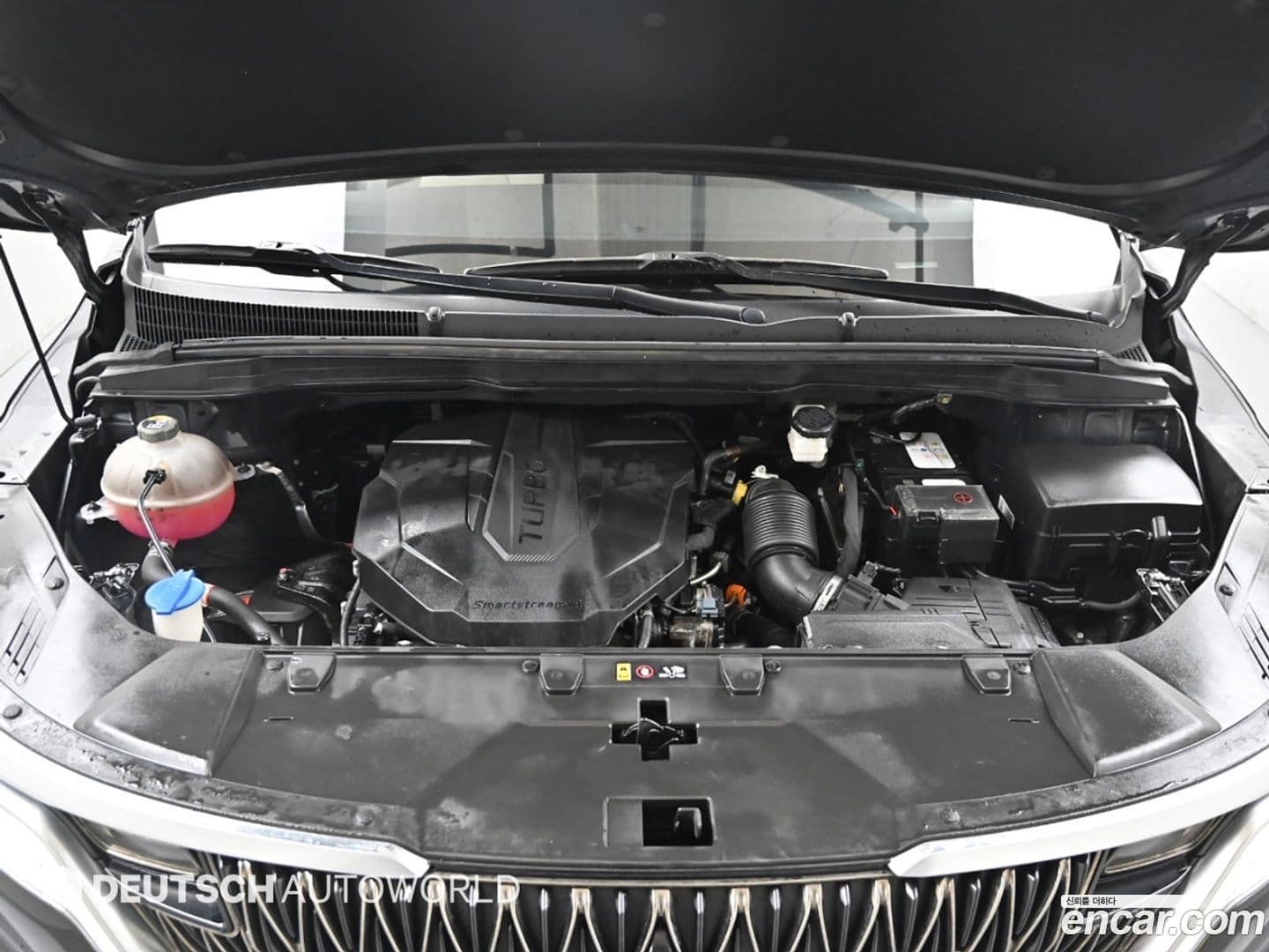 Main__Slider__Photo:Canival Kia 2021.3-6