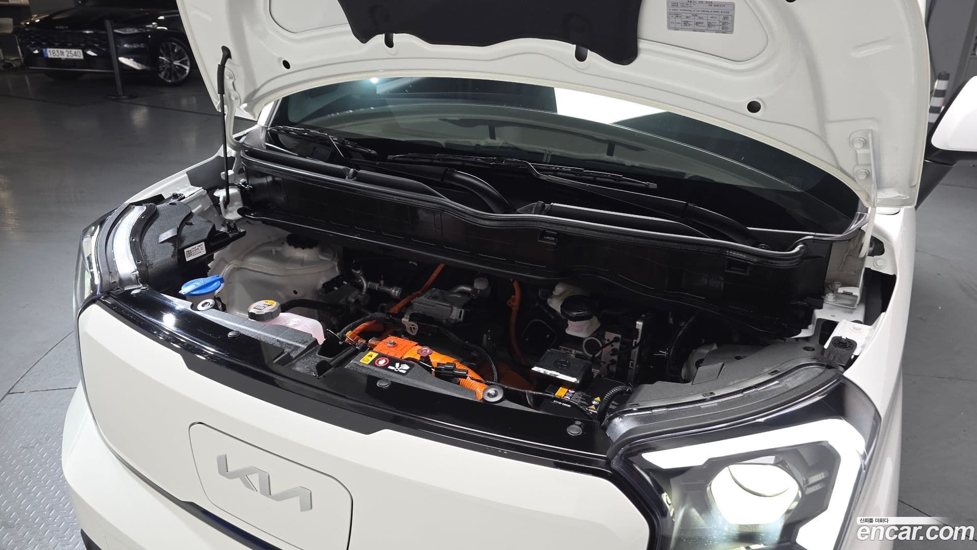 Main__Slider__Photo:RAY Kia 2025.6-5