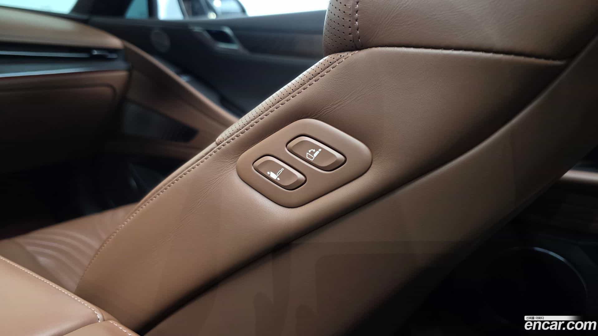 G80 Genesis 2020.5-OPTION-022