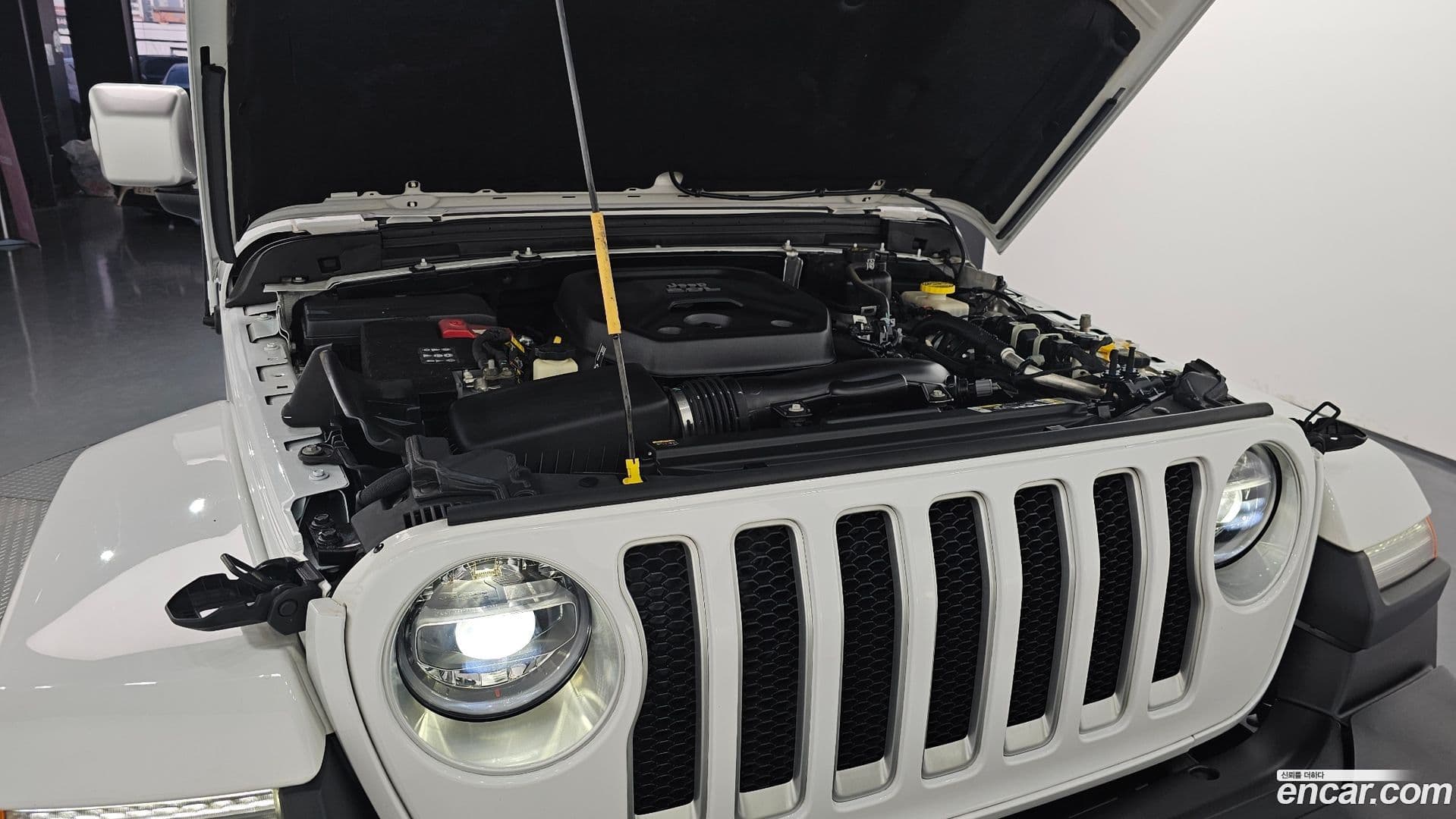 Main__Slider__Photo:Wrangler Jeep 2021.2-5