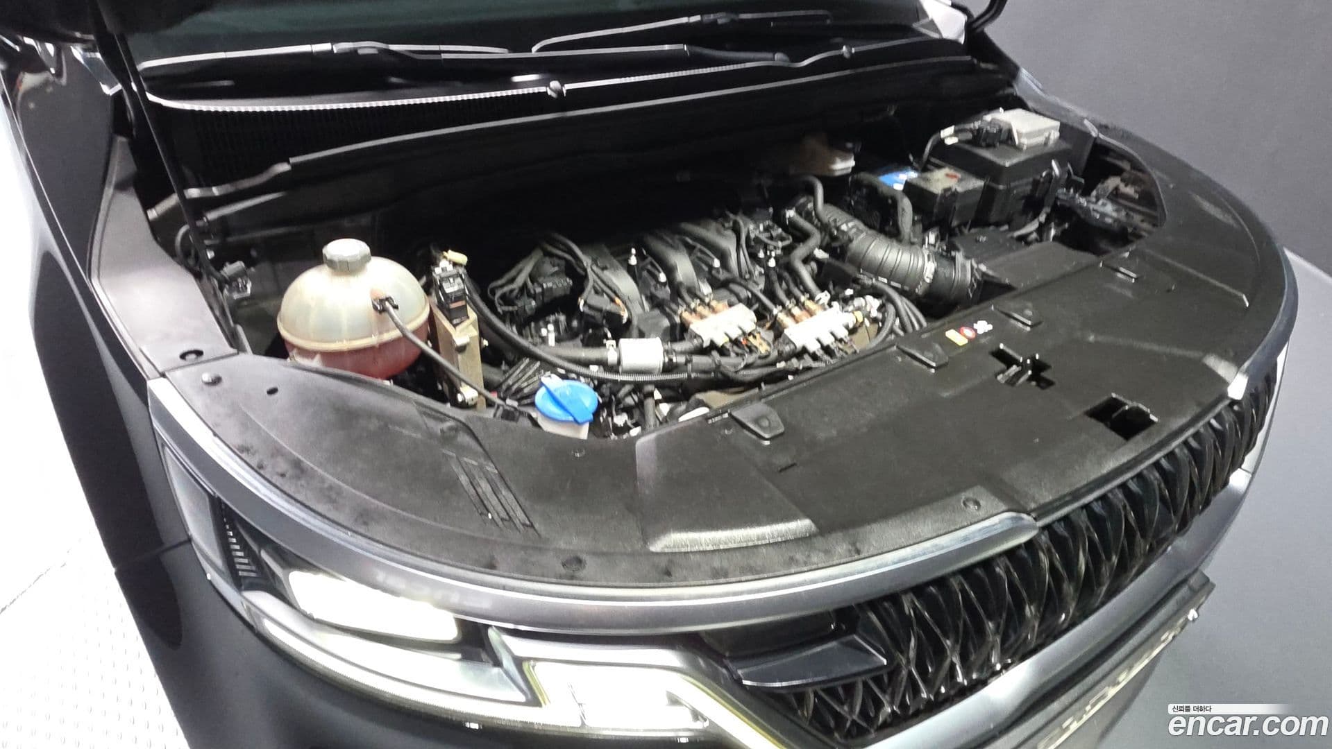 Main__Slider__Photo:Canival Kia 2021.1-5