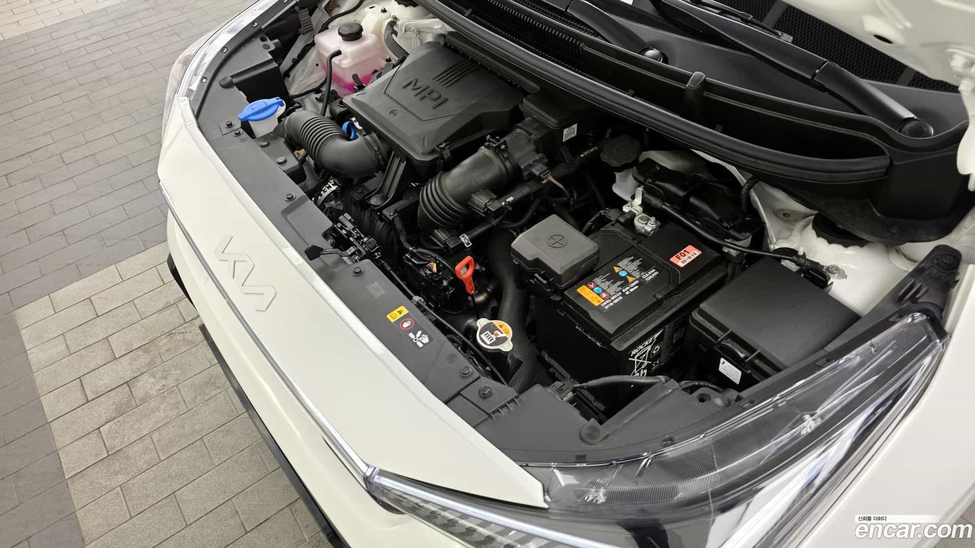 morning Kia 2025.11-OUTER-006