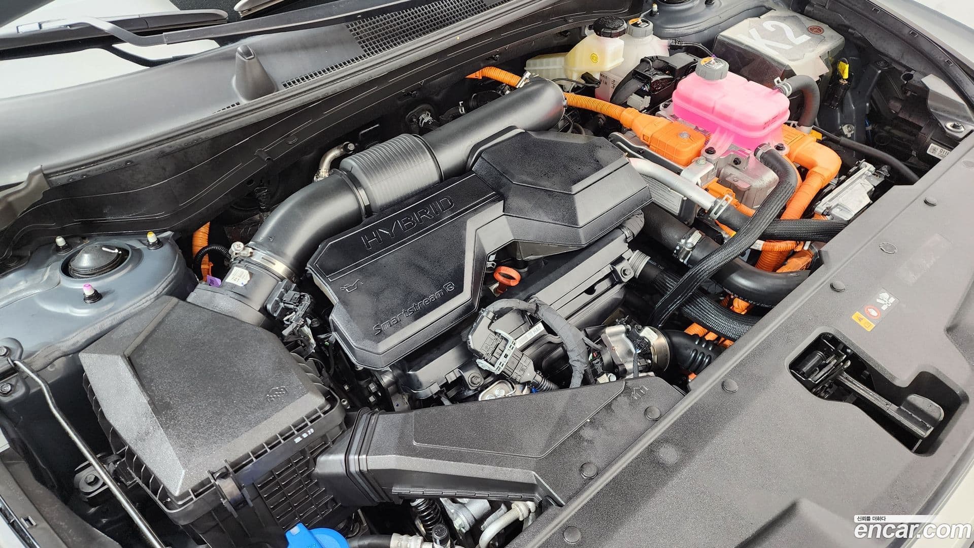 Main__Slider__Photo:Sportage Kia 2024.10-5