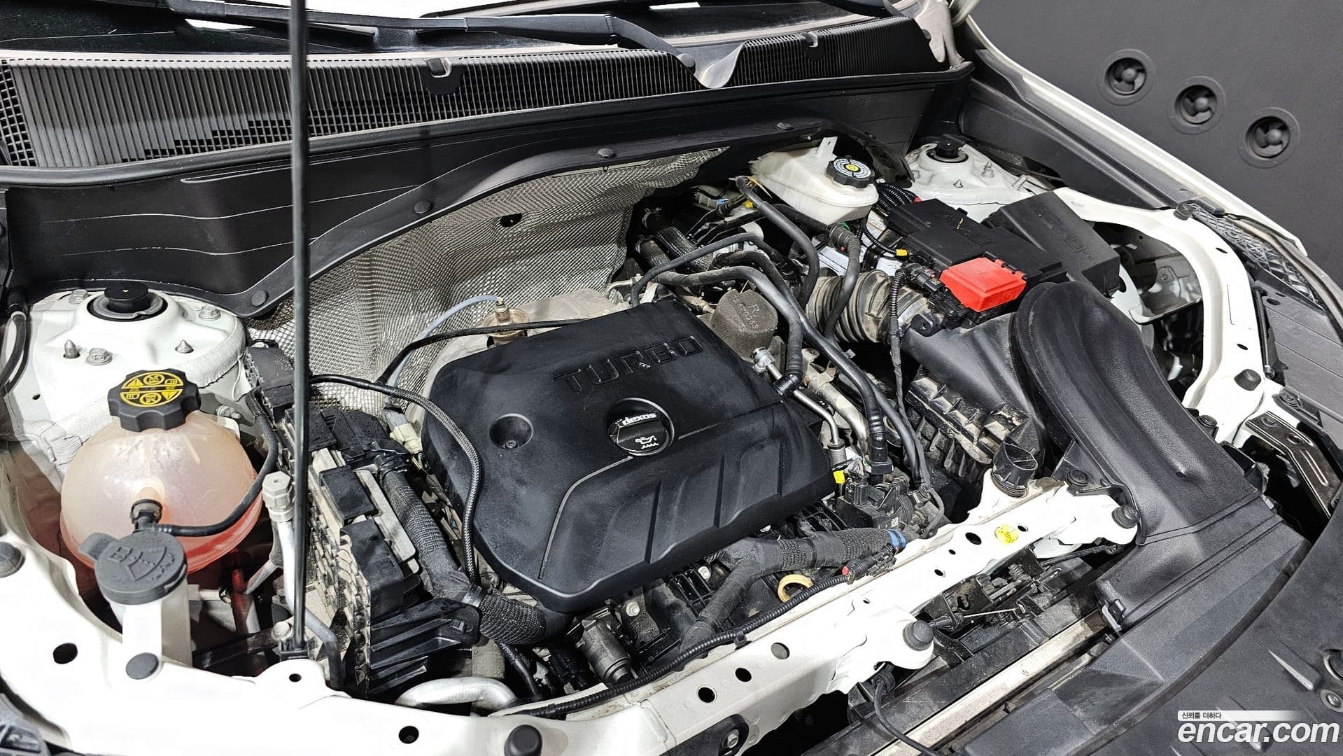 Main__Slider__Photo:Trailblazer ChevroletGMDaewoo 2020.6-5