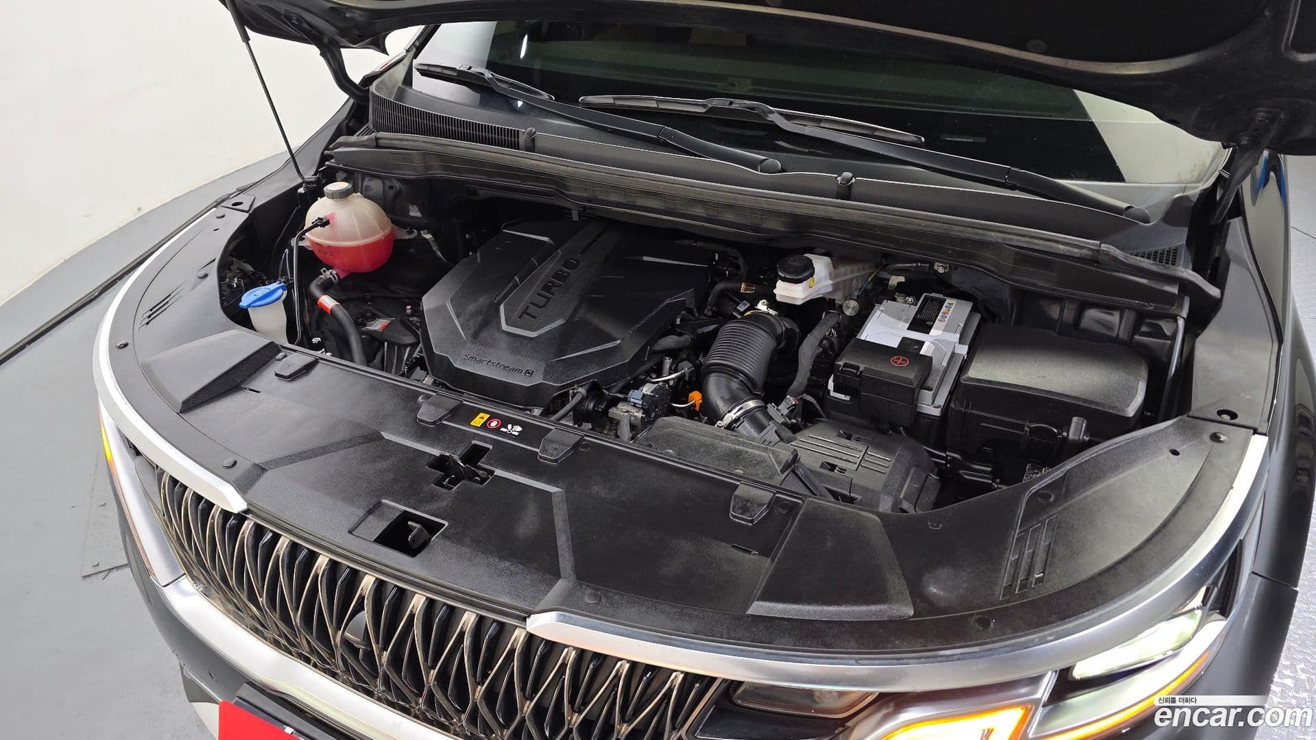 Main__Slider__Photo:Canival Kia 2021.1-5