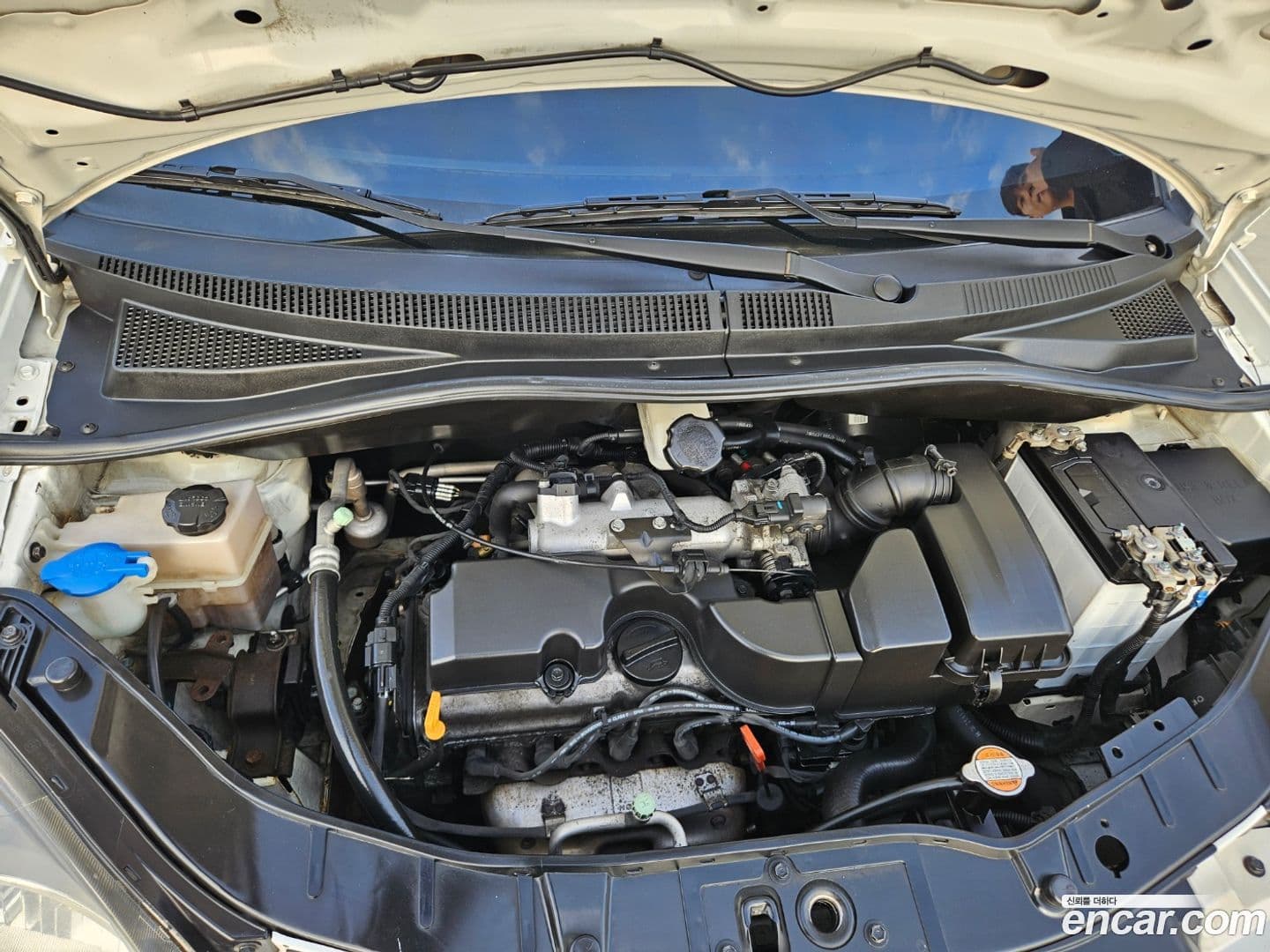 Main__Slider__Photo:morning Kia 2009.3-7