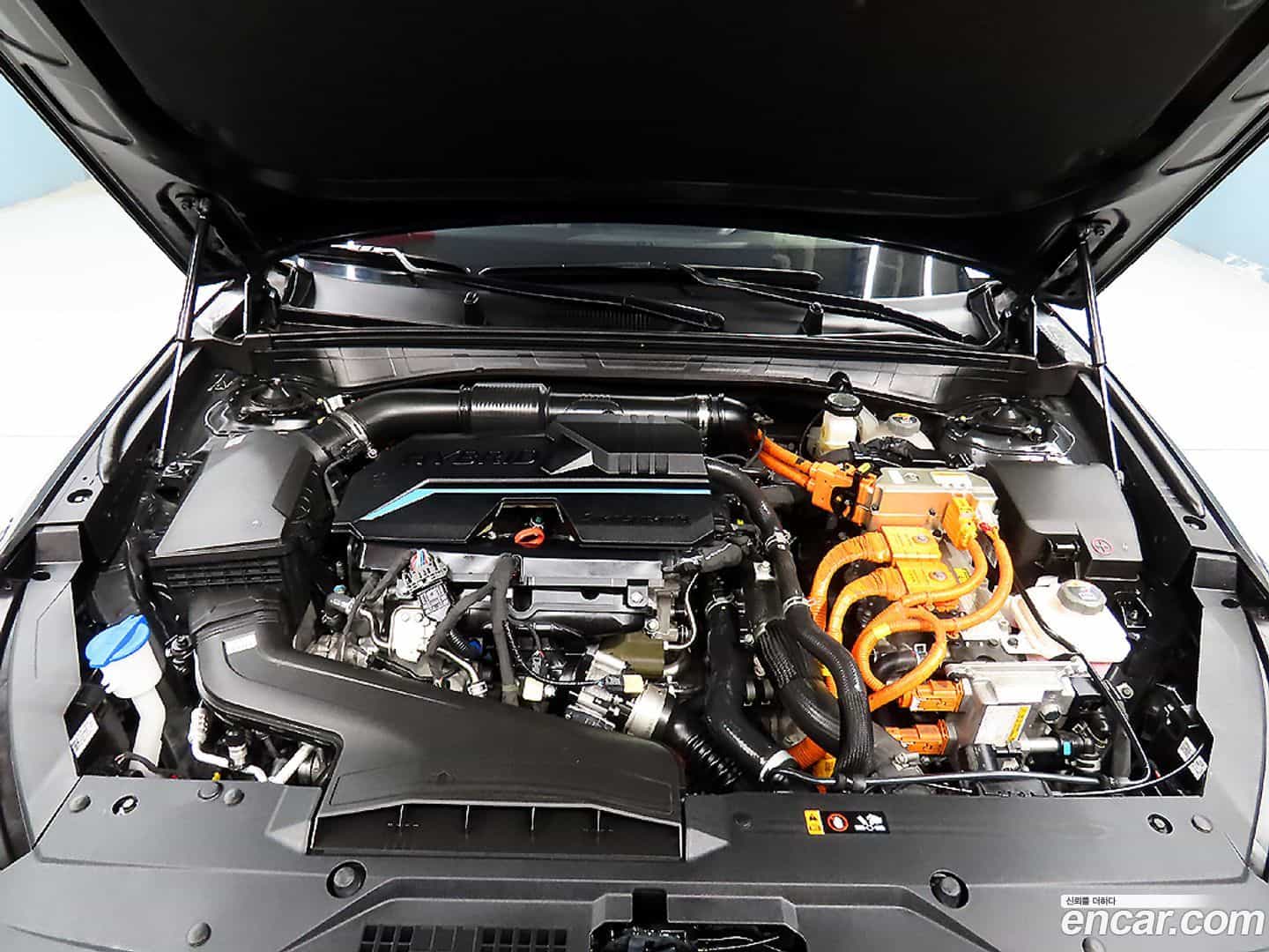 K8 Kia 2022.0-OPTION-023