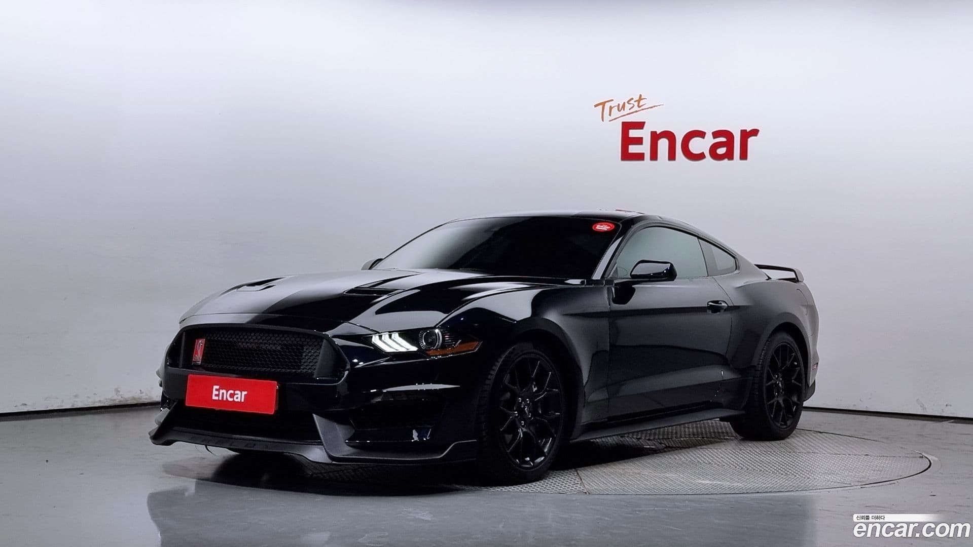 Main__Slider__Photo:Mustang Ford 2021.11-0