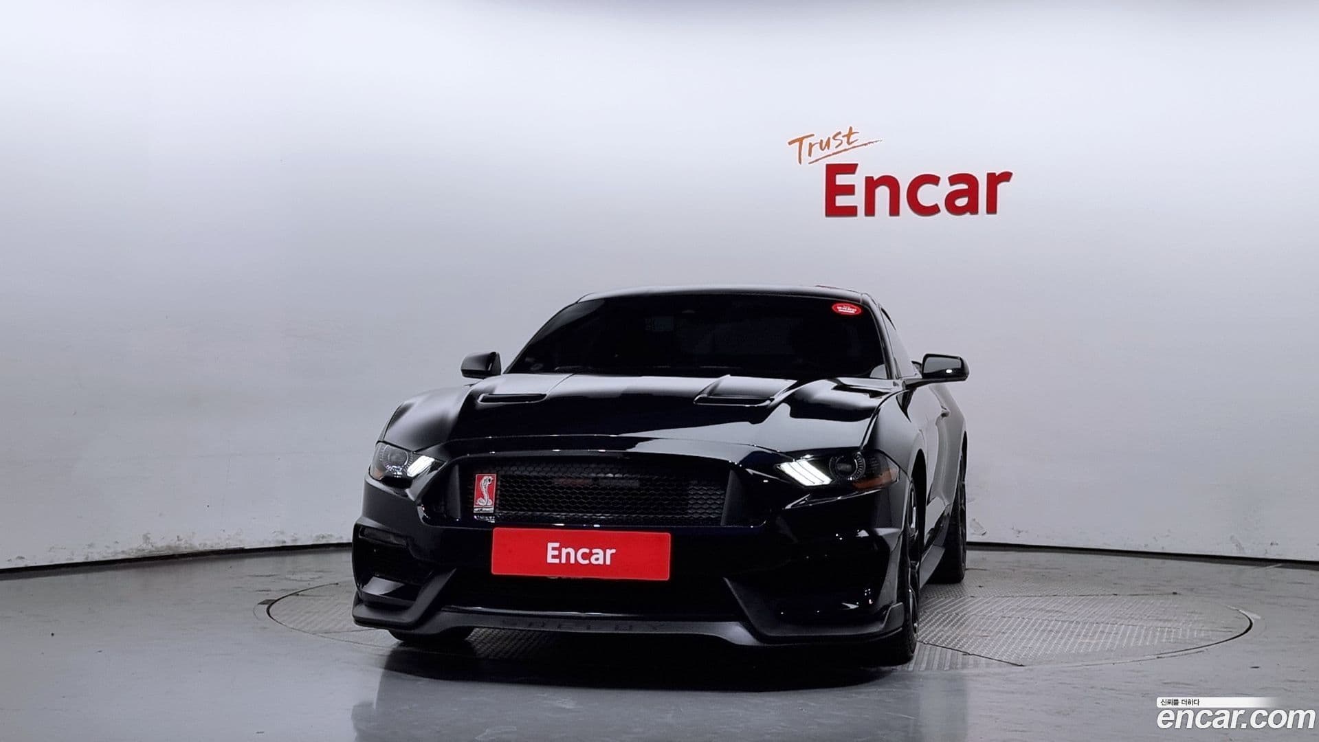 Main__Slider__Photo:Mustang Ford 2021.11-2