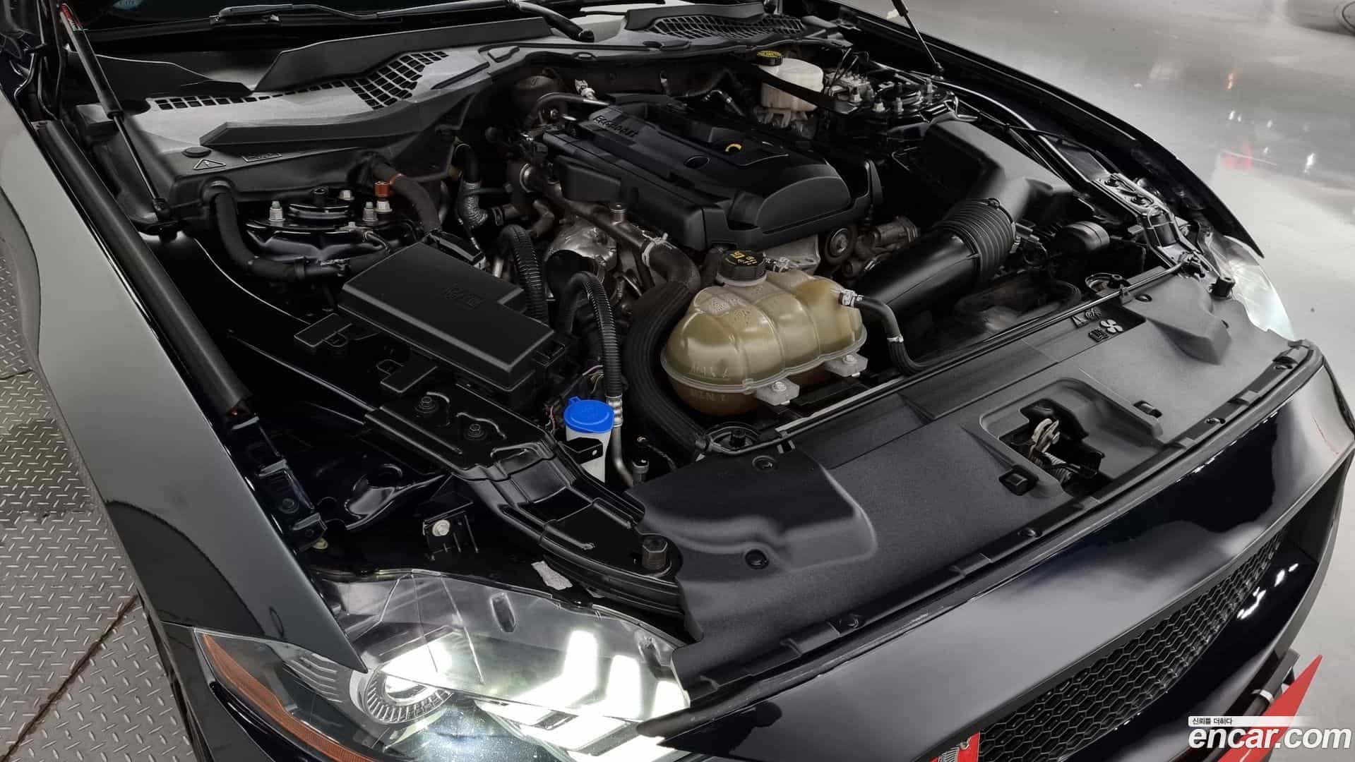 Mustang Ford 2021.11-INNER-006