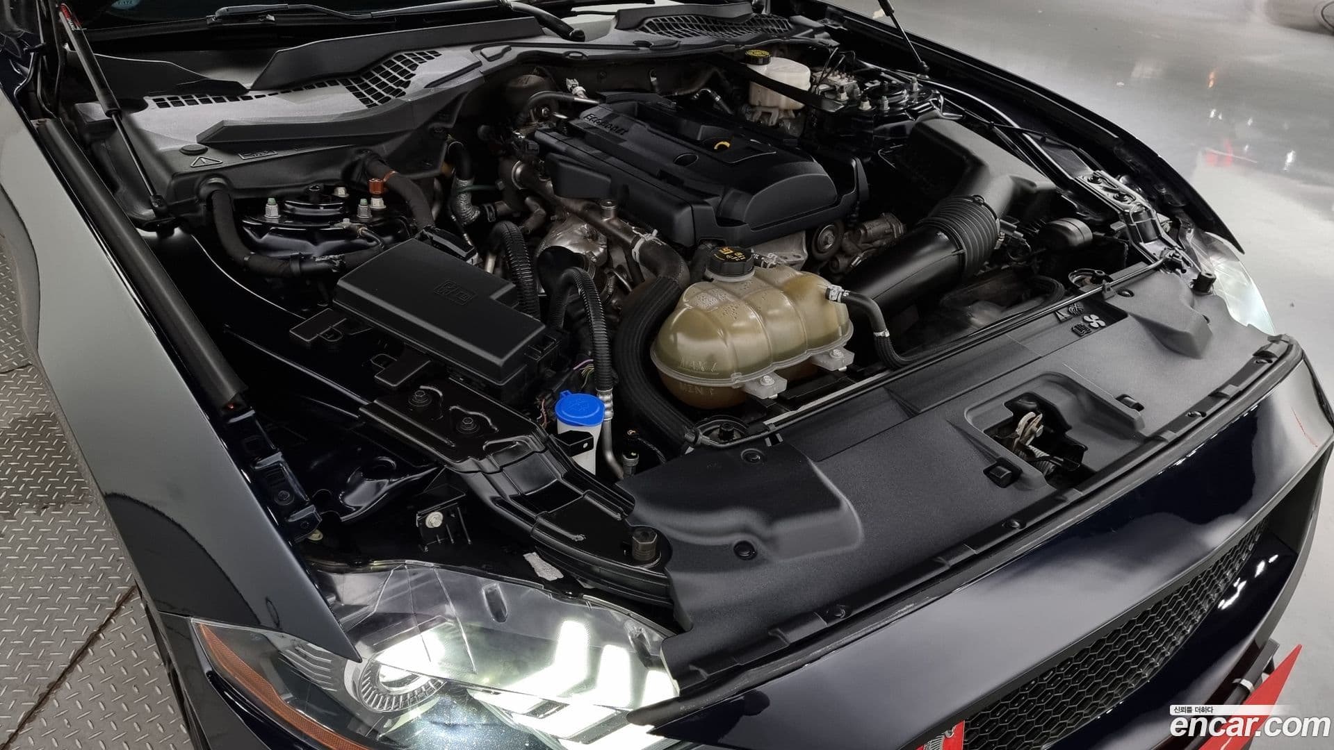 Main__Slider__Photo:Mustang Ford 2021.11-5