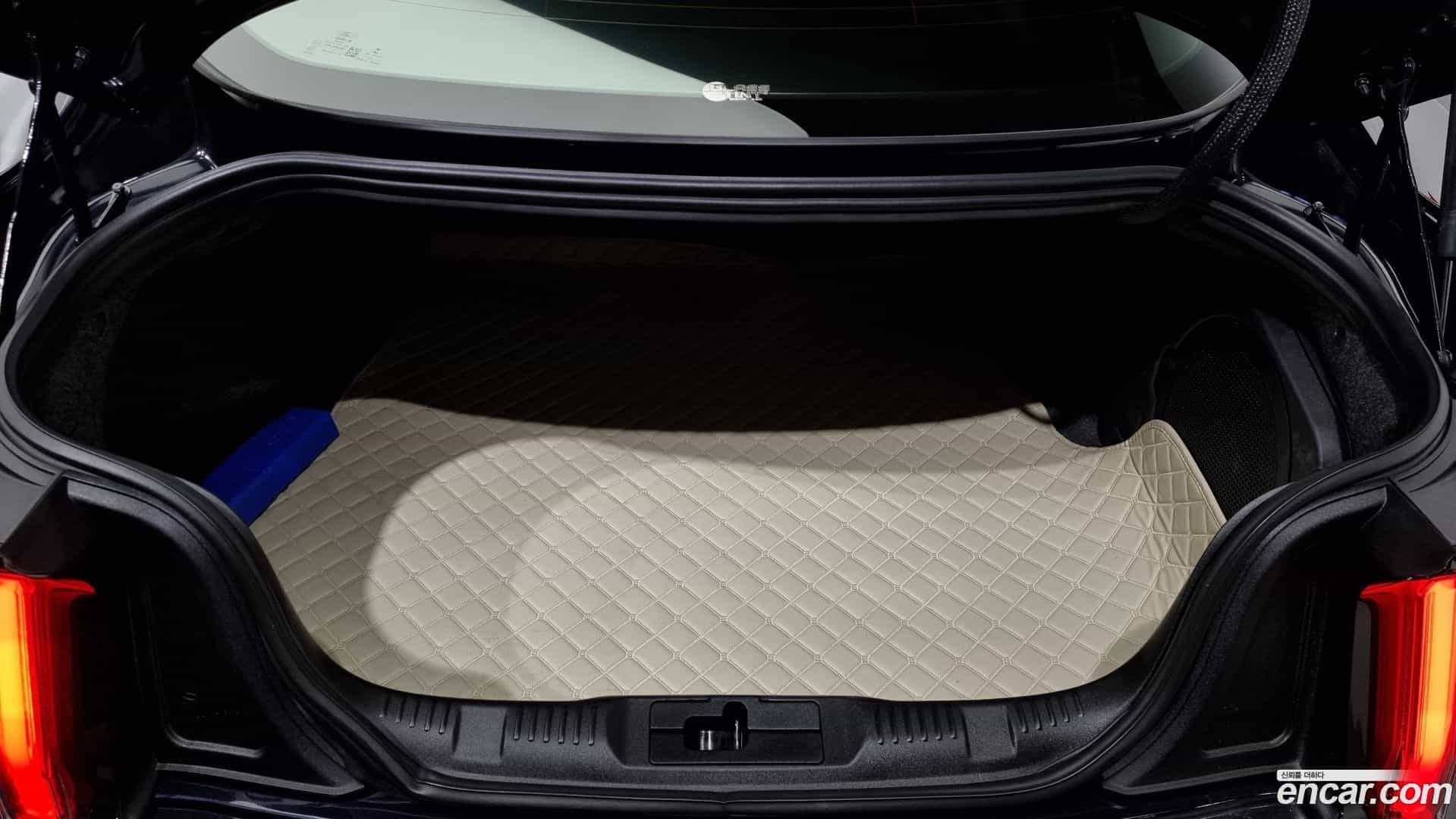 Mustang Ford 2021.11-OPTION-024