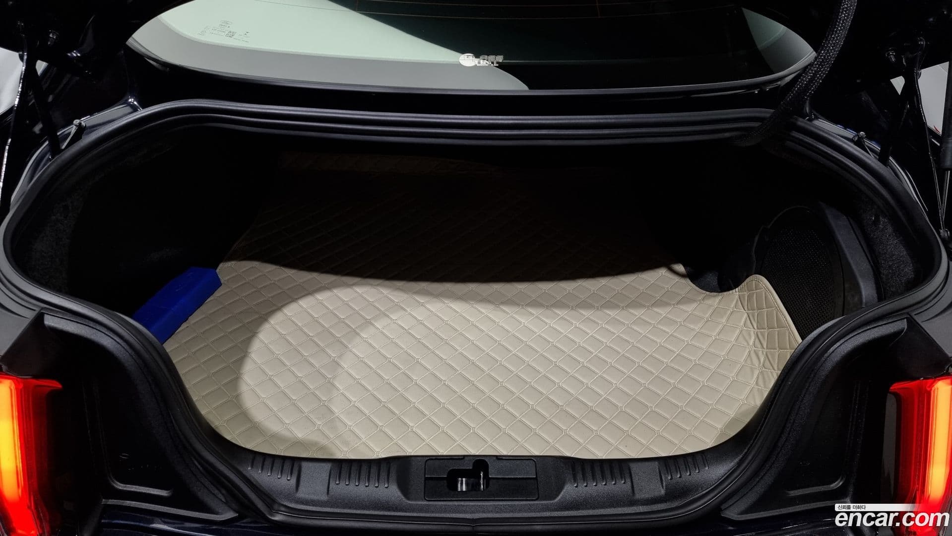 Main__Slider__Photo:Mustang Ford 2021.11-19