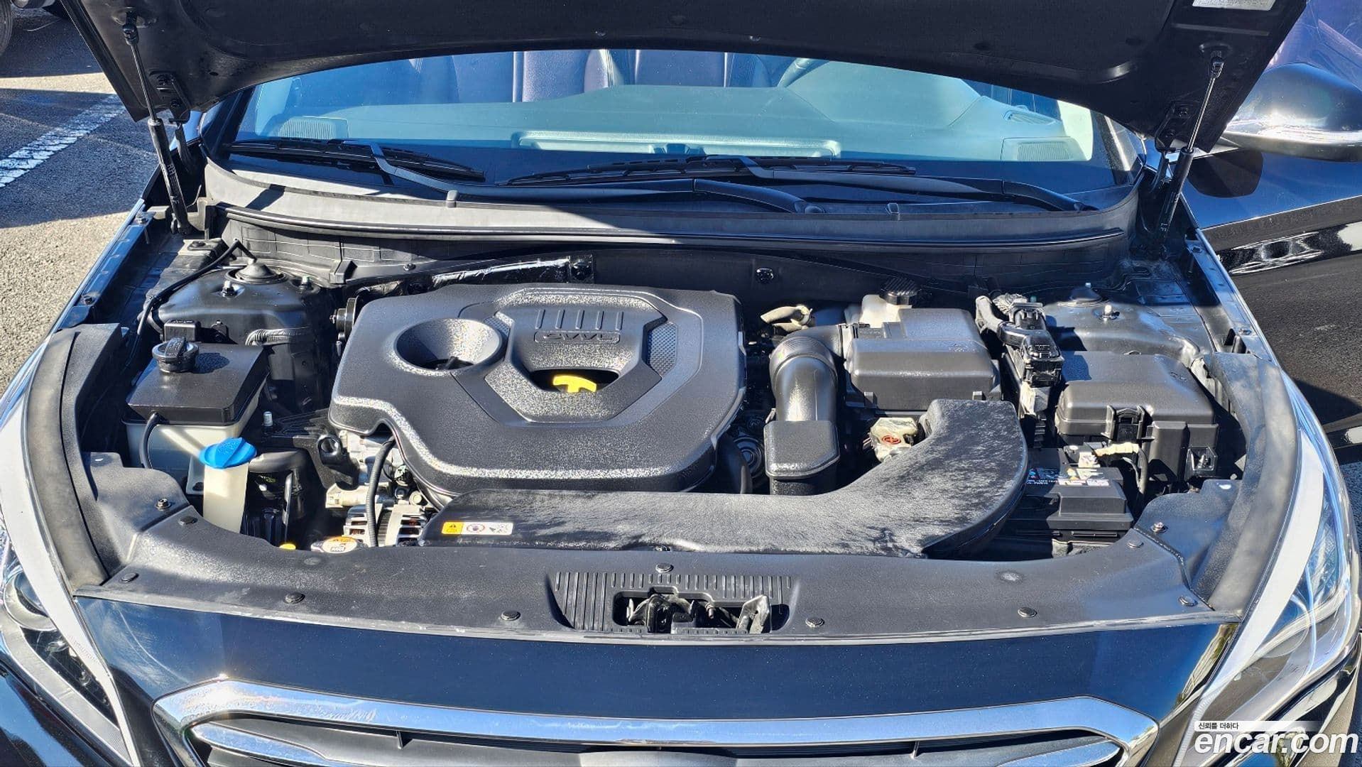 Main__Slider__Photo:Sonata Hyundai 2014.3-19