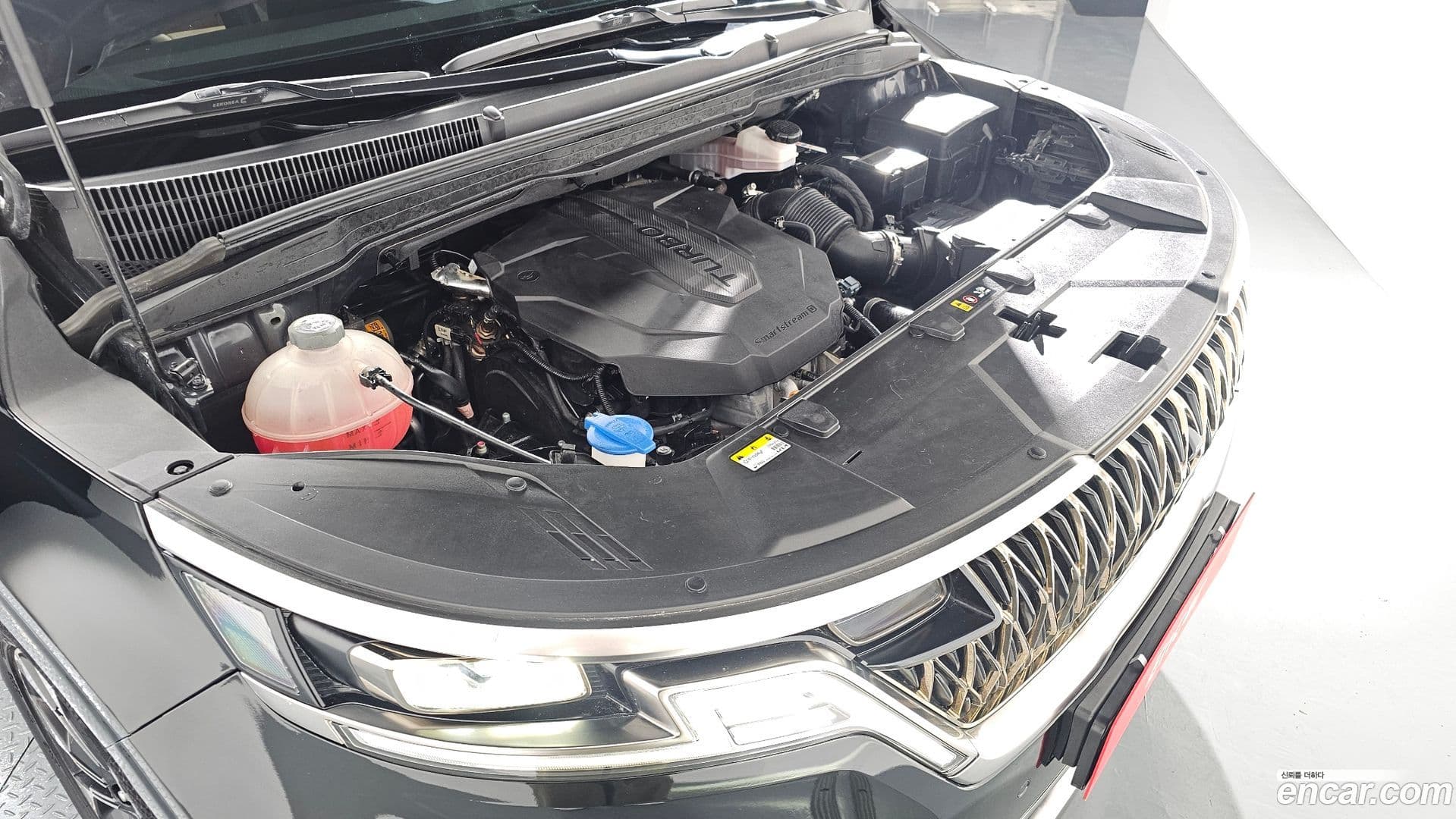 Main__Slider__Photo:Canival Kia 2023.2-5