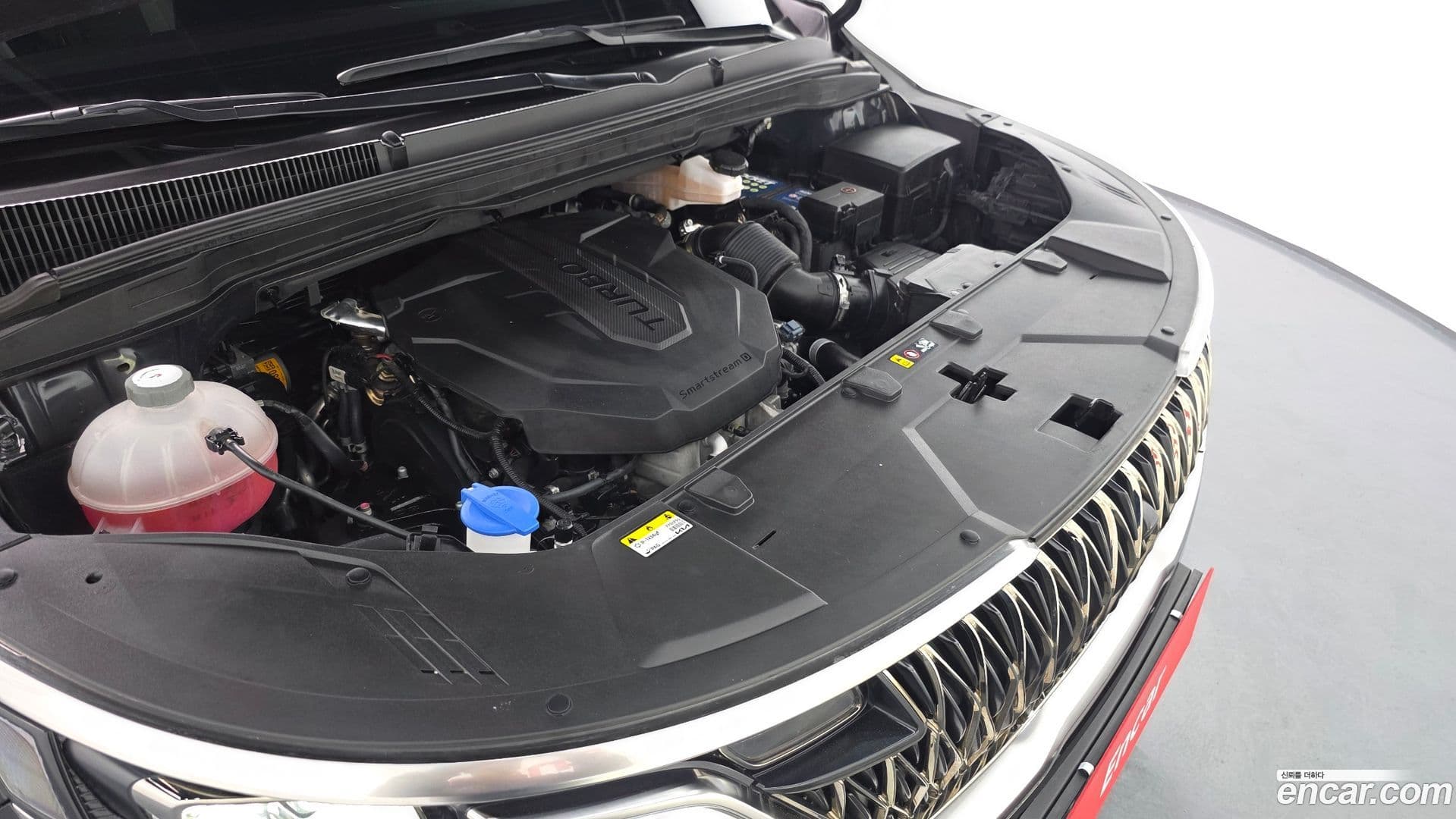 Main__Slider__Photo:Canival Kia 2023.5-5