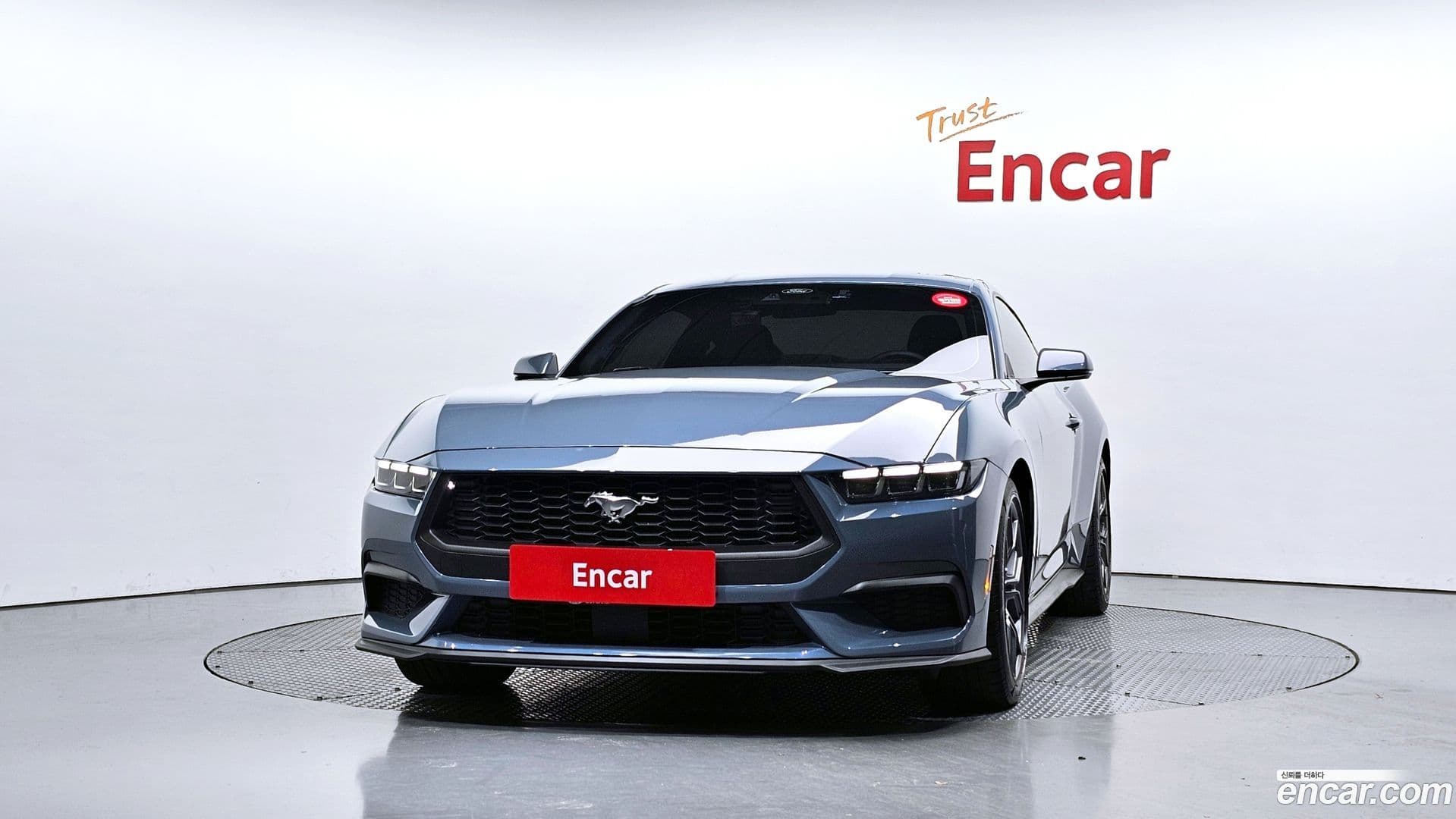 Main__Slider__Photo:Mustang Ford 2024.1-2