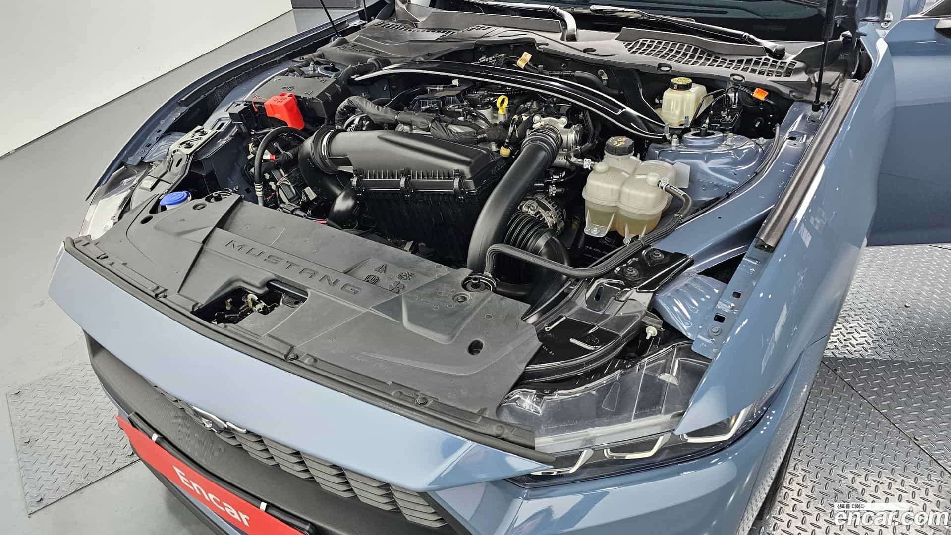 Mustang Ford 2024.1-INNER-006