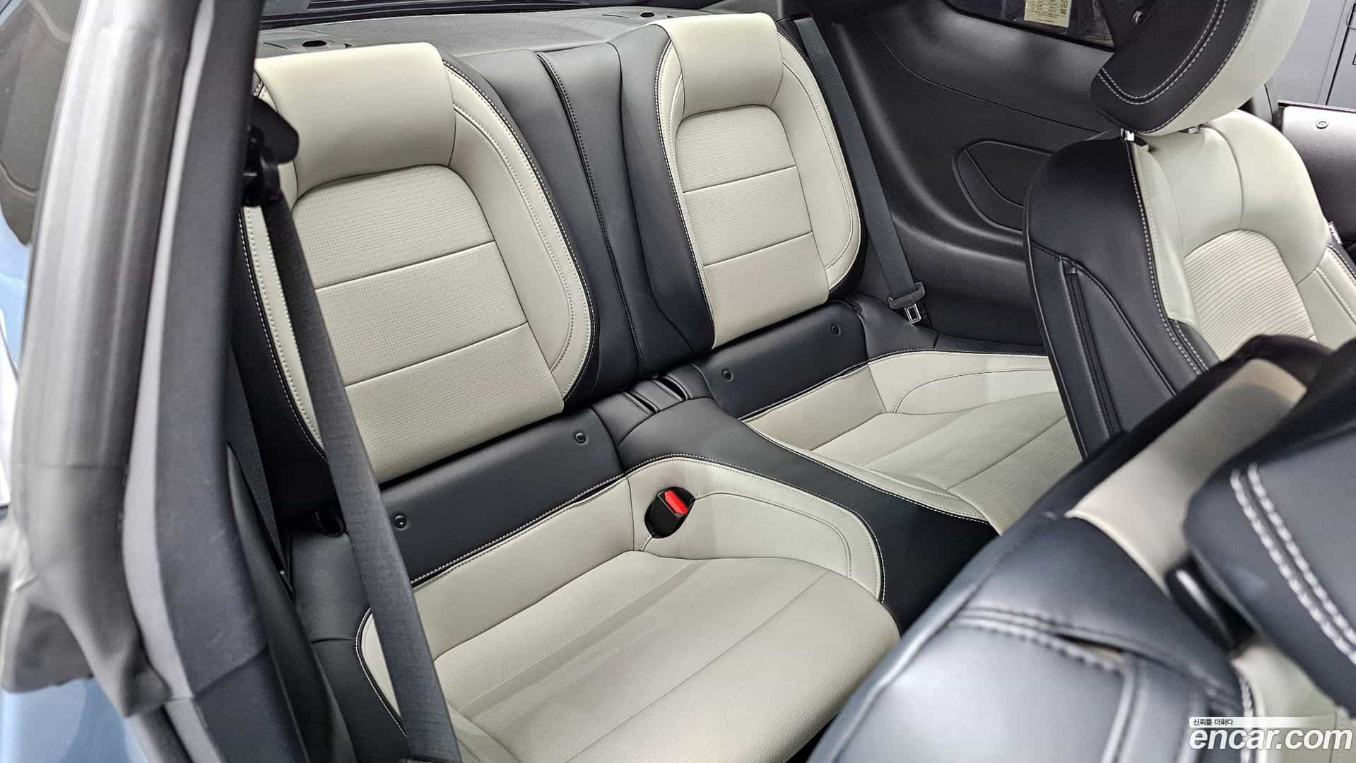 Mustang Ford 2024.1-OPTION-017