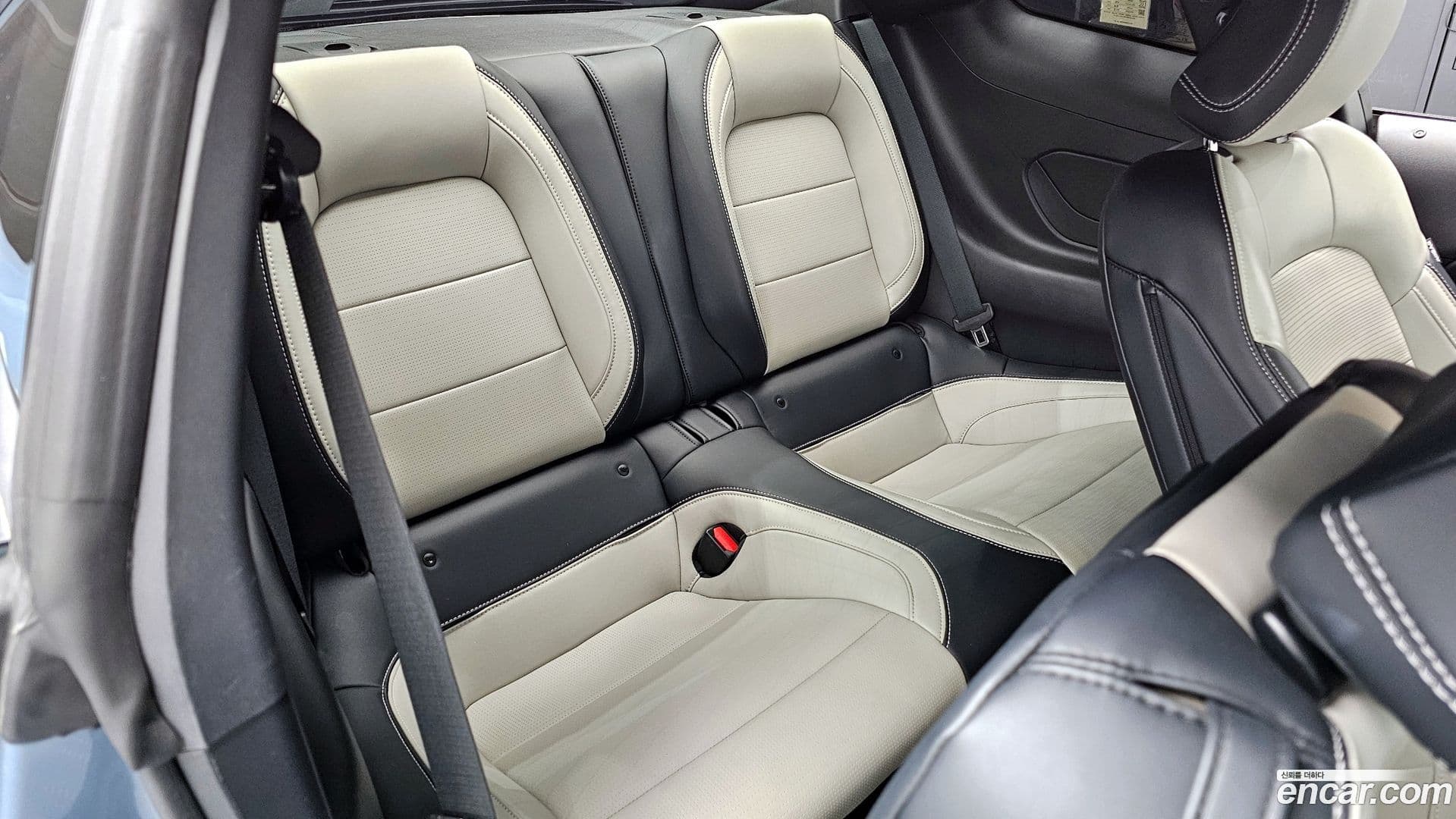 Main__Slider__Photo:Mustang Ford 2024.1-12