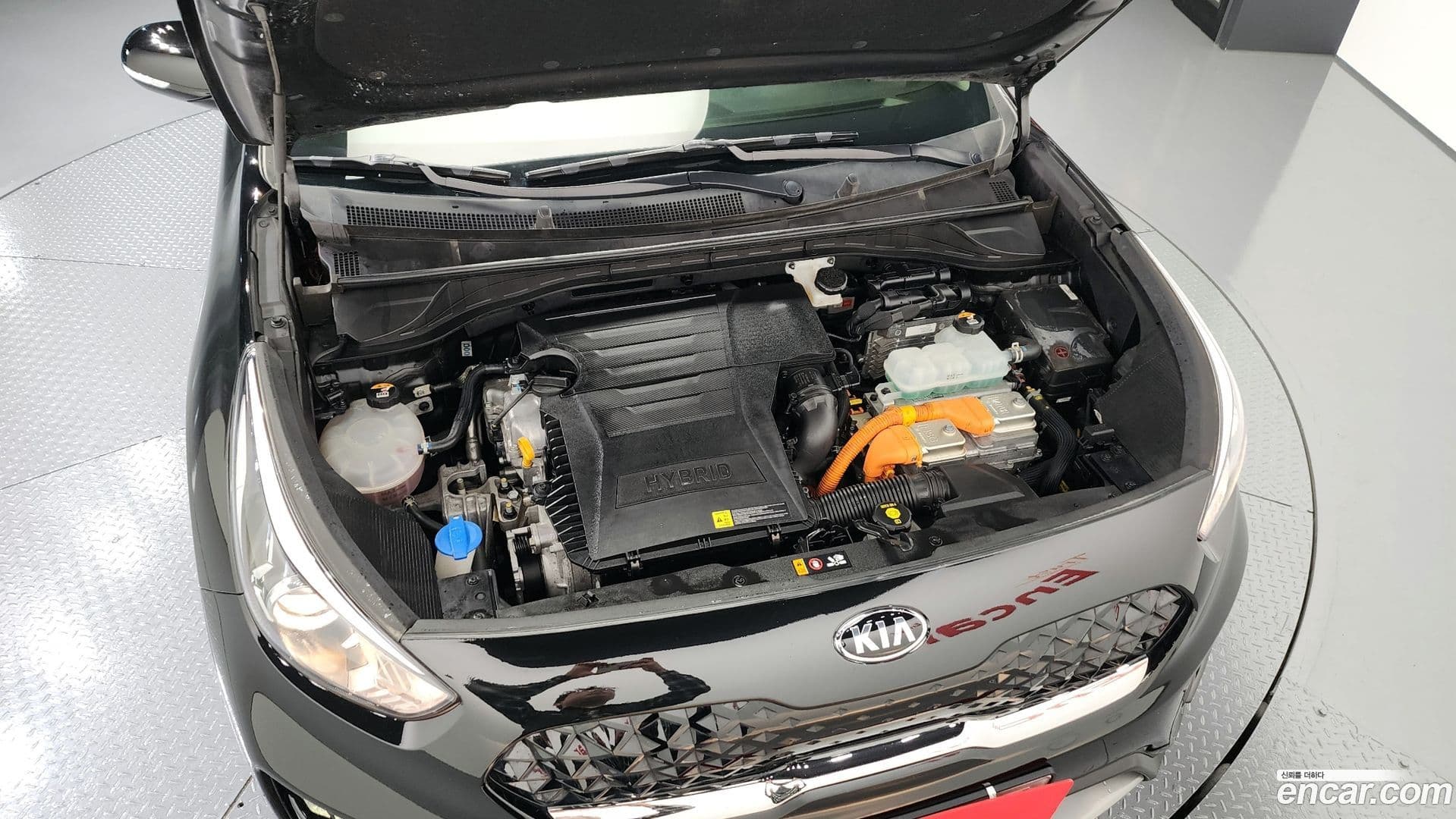 Main__Slider__Photo:Niro Kia 2019.9-5