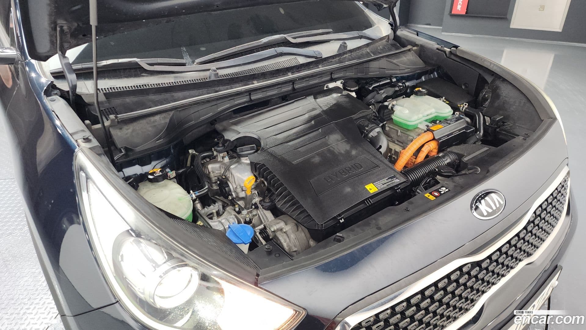 Main__Slider__Photo:Niro Kia 2016.7-5