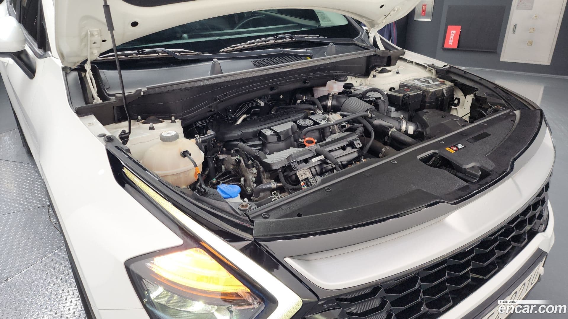 Main__Slider__Photo:Sportage Kia 2022.4-5