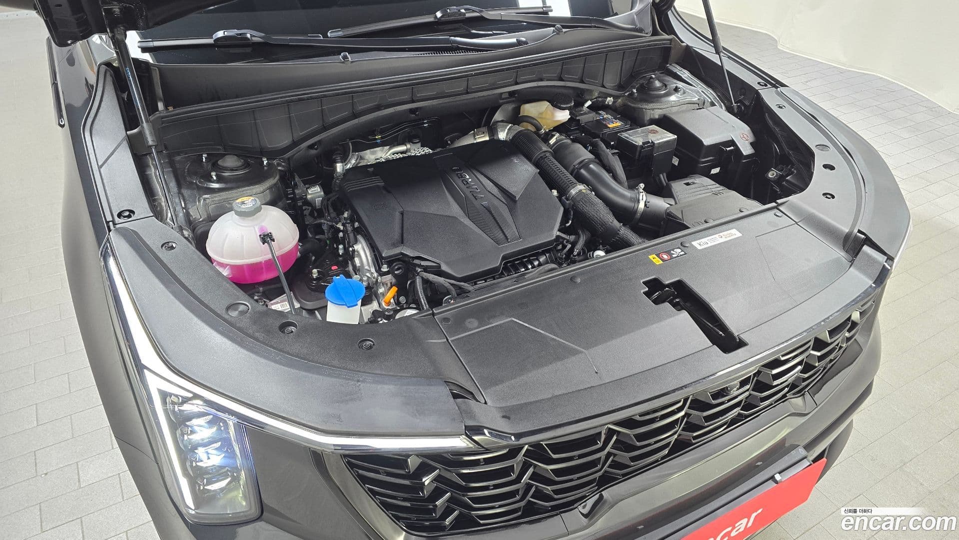 Main__Slider__Photo:Sorento Kia 2024.4-5