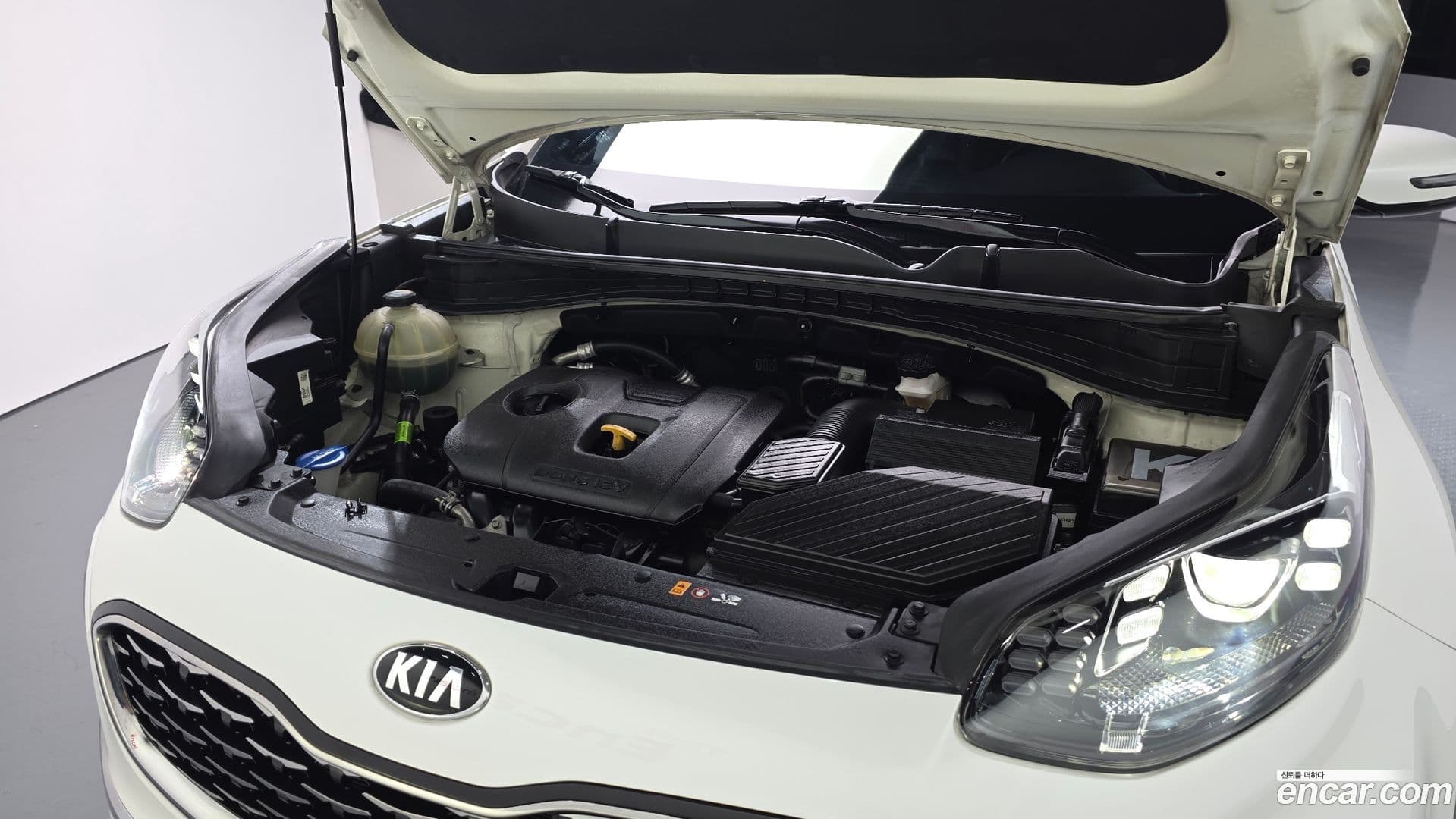 Main__Slider__Photo:Sportage Kia 2019.11-5