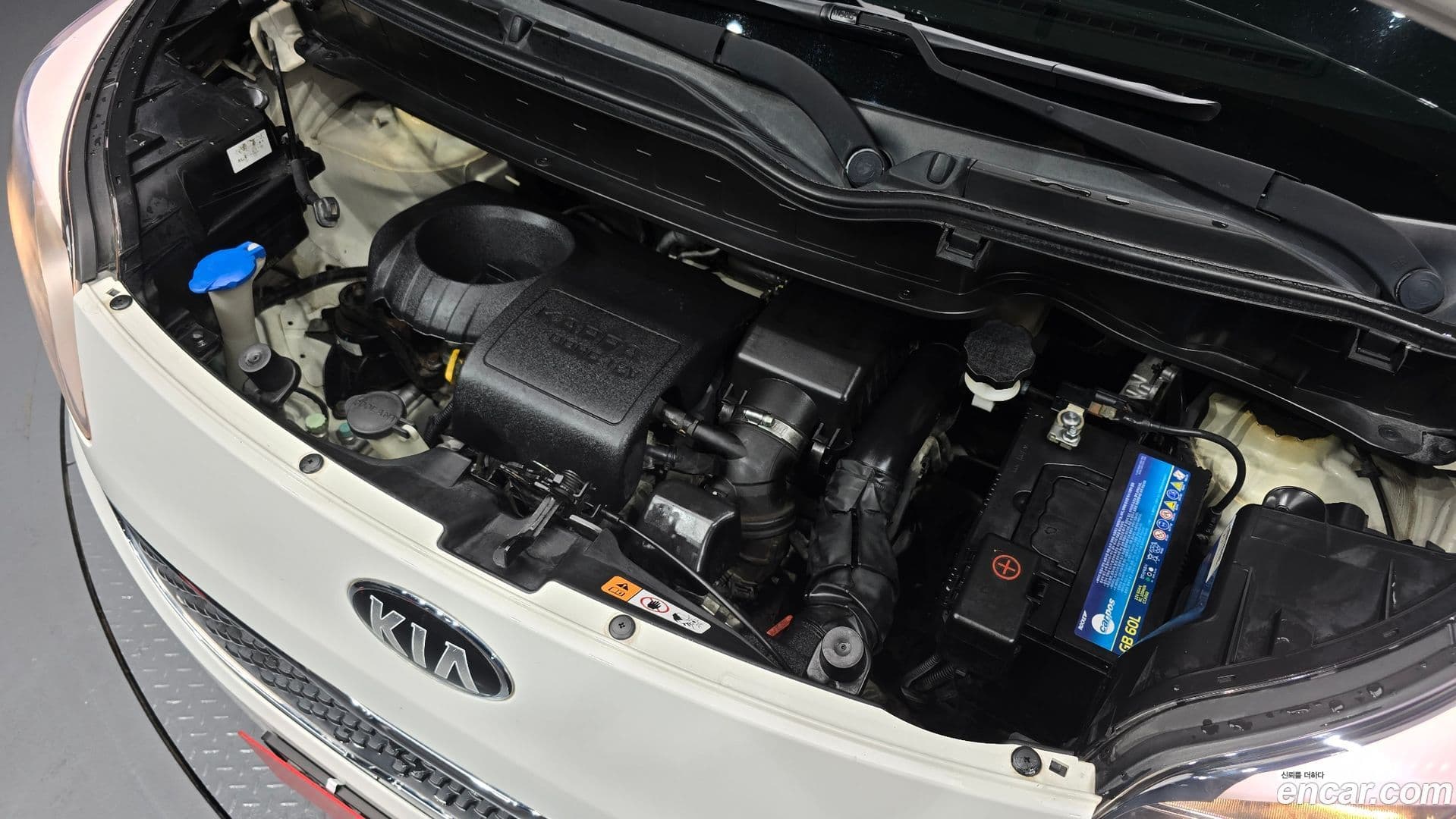 Main__Slider__Photo:RAY Kia 2014.1-5