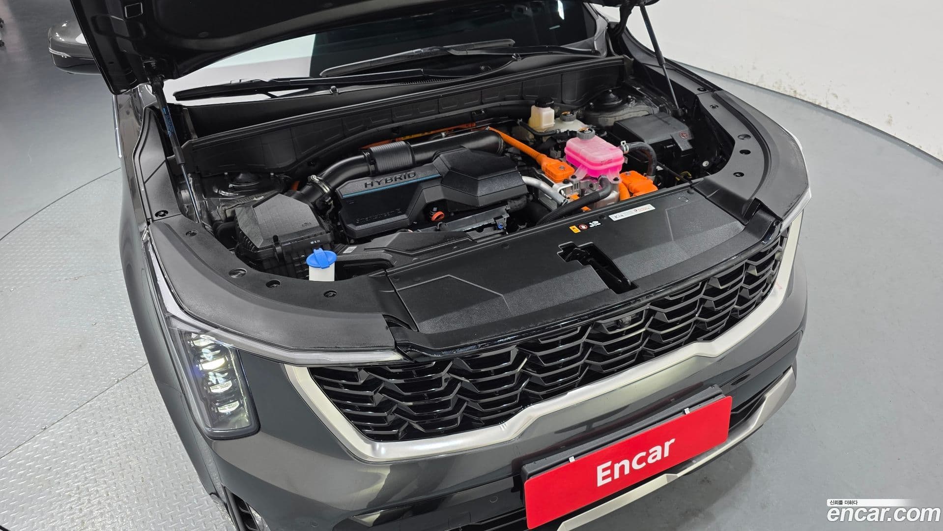 Main__Slider__Photo:Sorento Kia 2024.0-5