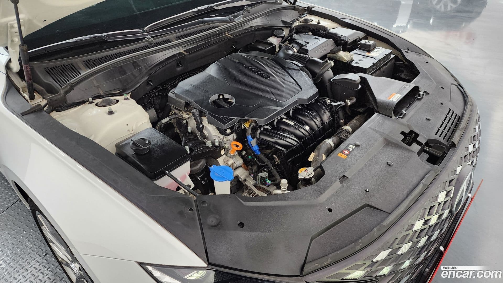 Main__Slider__Photo:Grandeur Hyundai 2021.11-5