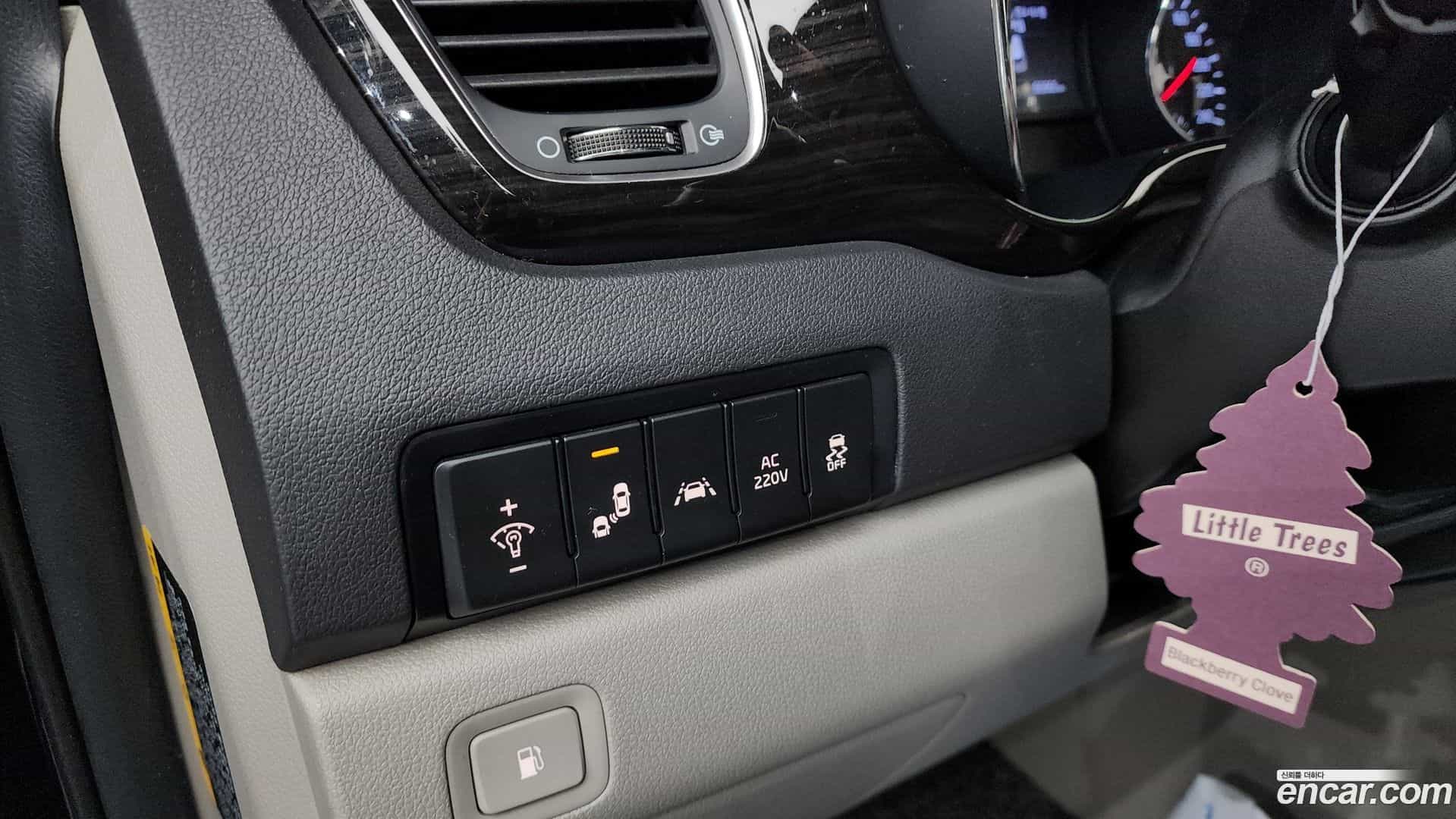 Canival Kia 2020.3-OPTION-020